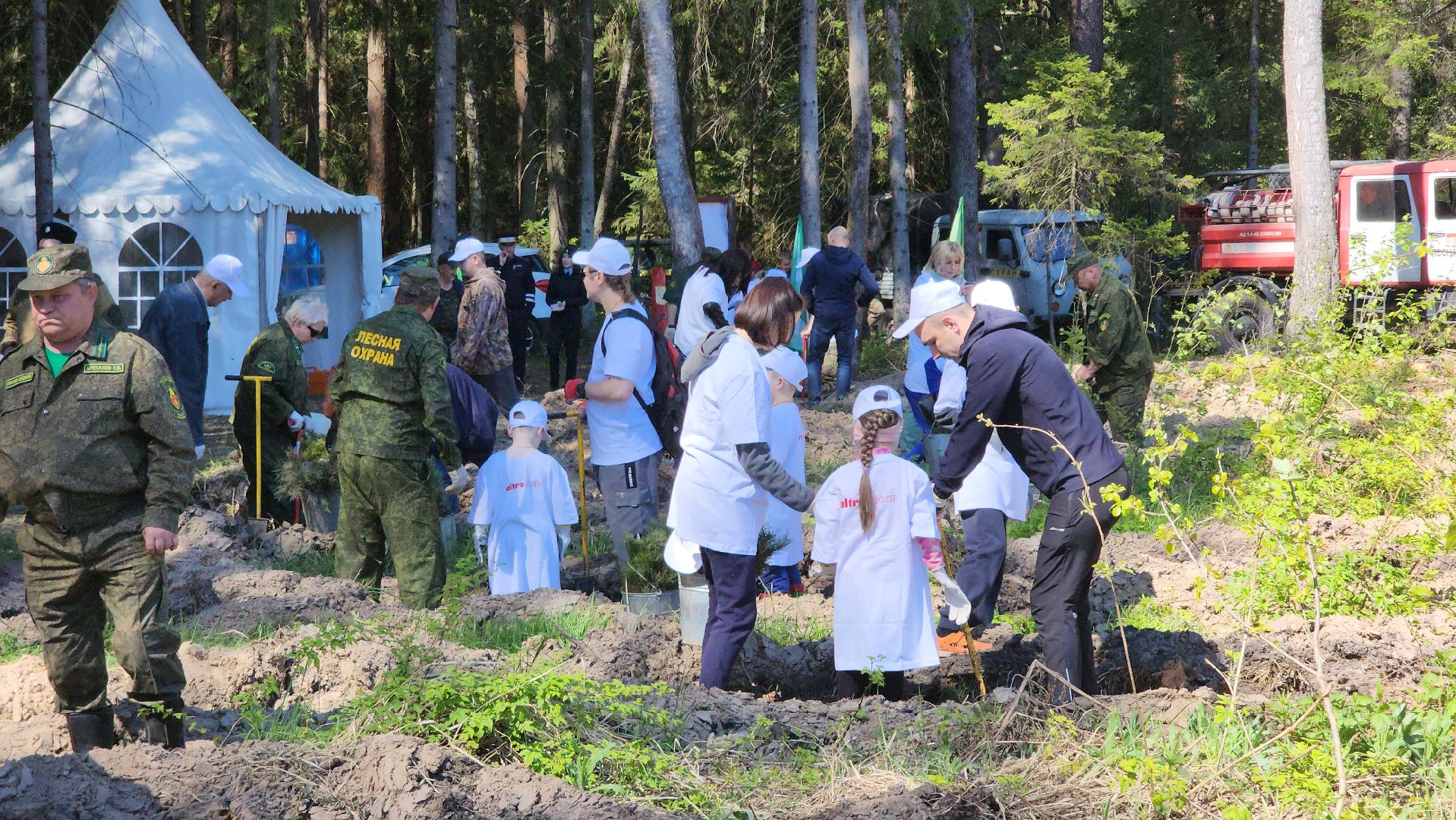 егорьевск, леоново, лес, сосны, посадка, лес будущего, саженцы,