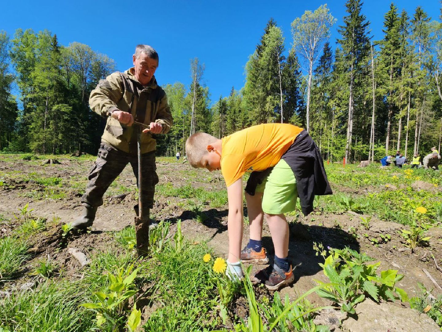можайск, можайский городской округ, подмосковье, акция, патриотическая акция, лес будущего, сад памяти, международная акция, саженцы, посадка деревьев,