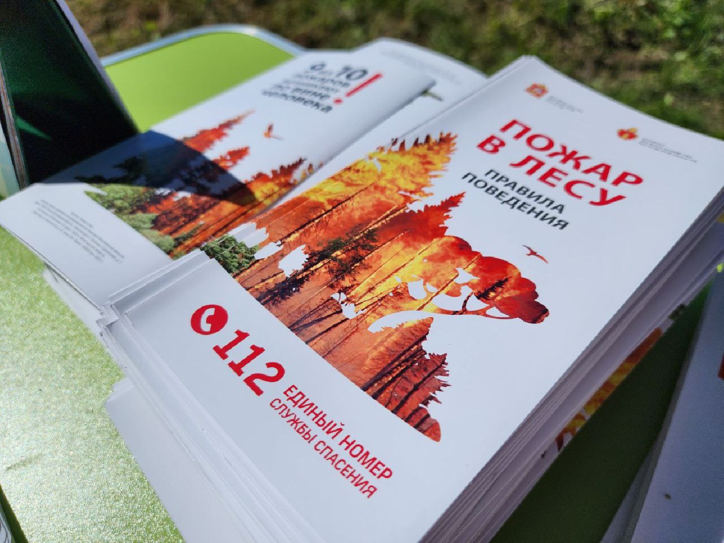 можайск, можайский городской округ, подмосковье, акция, патриотическая акция, лес будущего, сад памяти, международная акция, саженцы, посадка деревьев,