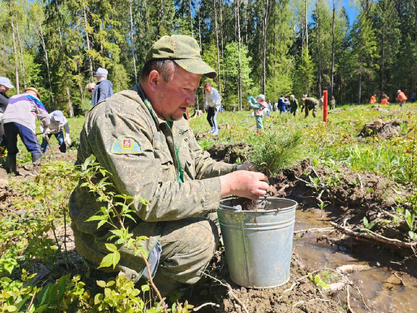 можайск, можайский городской округ, подмосковье, акция, патриотическая акция, лес будущего, сад памяти, международная акция, саженцы, посадка деревьев,