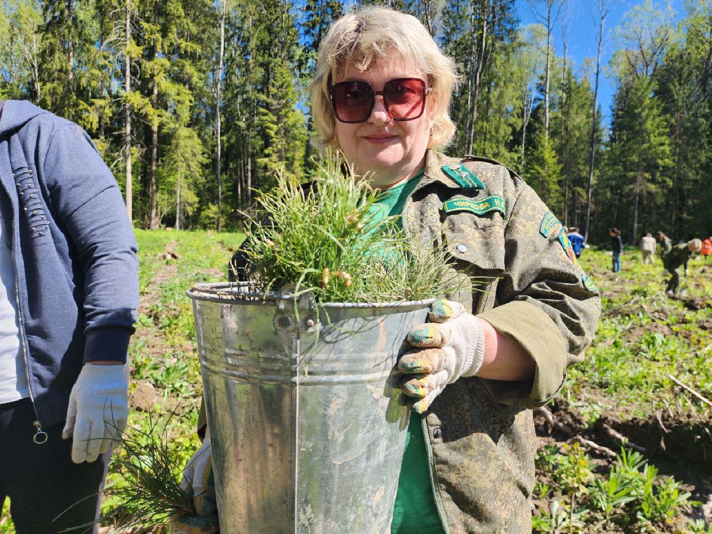 можайск, можайский городской округ, подмосковье, акция, патриотическая акция, лес будущего, сад памяти, международная акция, саженцы, посадка деревьев,