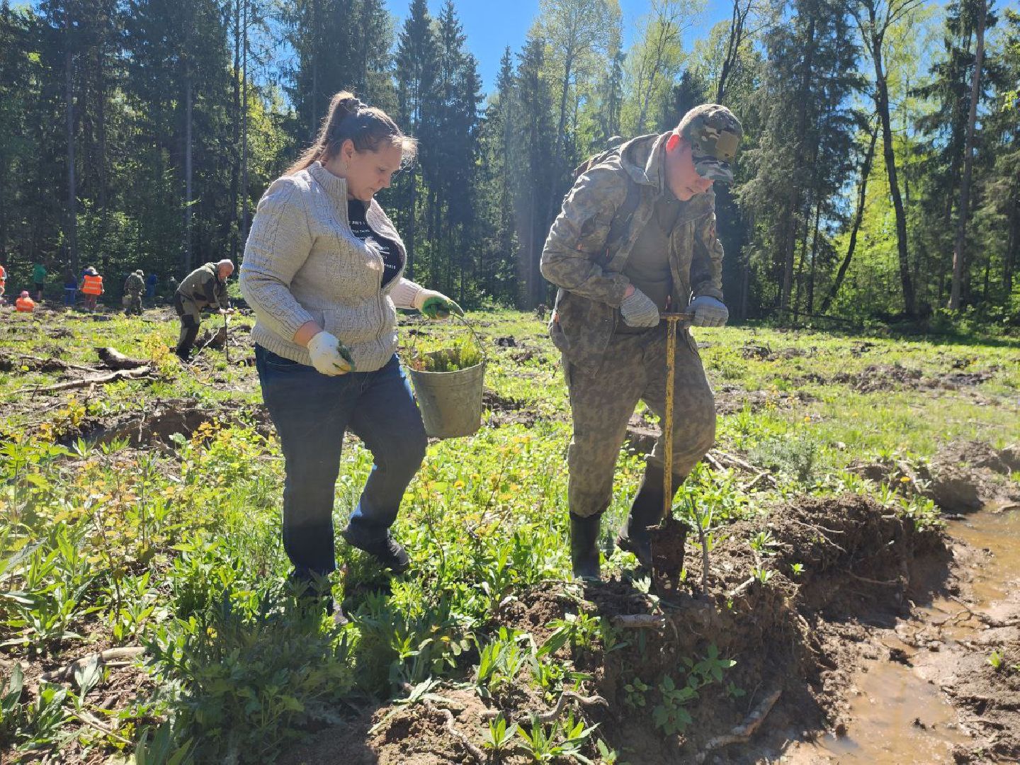 можайск, можайский городской округ, подмосковье, акция, патриотическая акция, лес будущего, сад памяти, международная акция, саженцы, посадка деревьев,