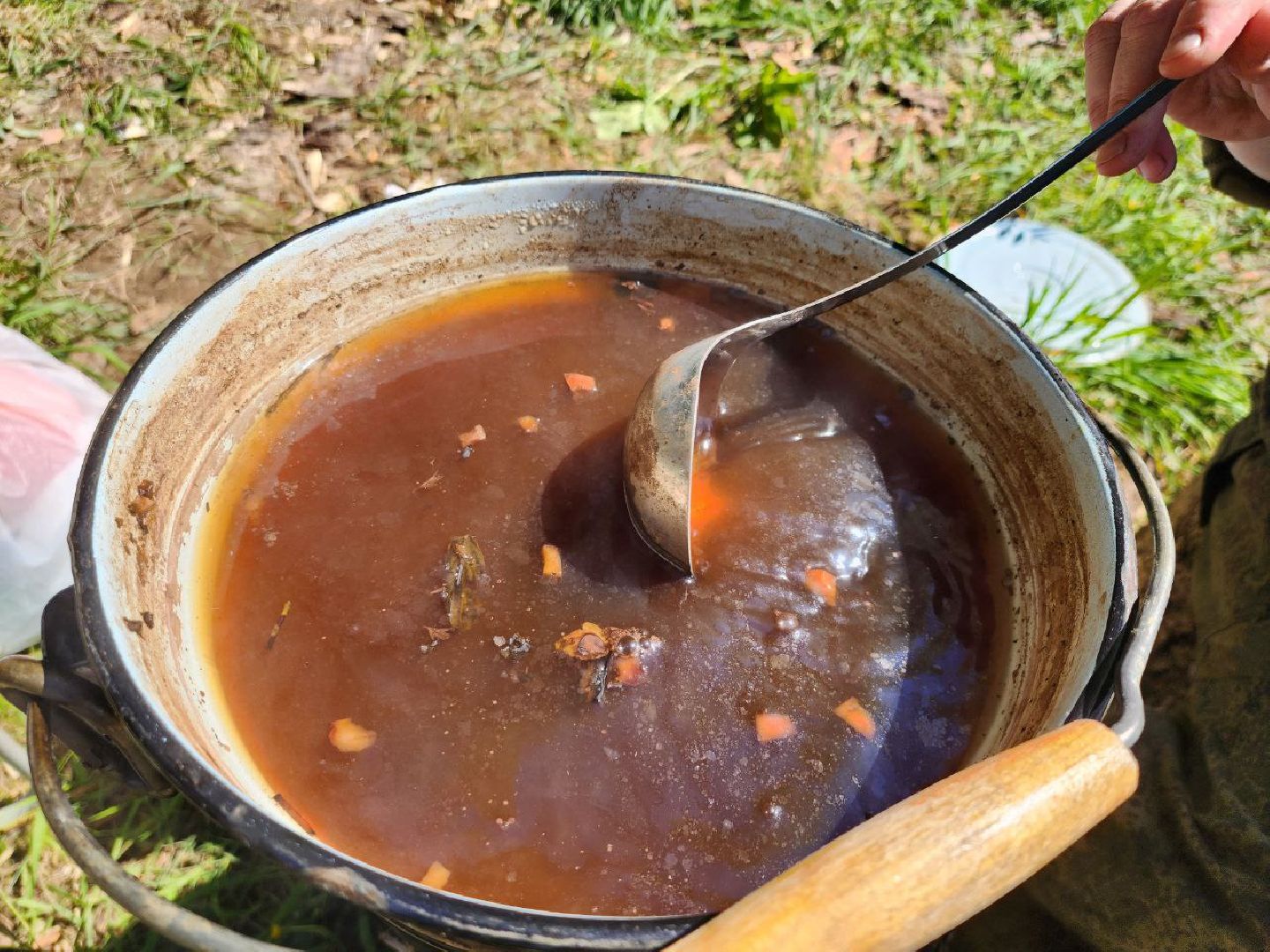 можайск, можайский городской округ, подмосковье, акция, патриотическая акция, лес будущего, сад памяти, международная акция, саженцы, посадка деревьев,