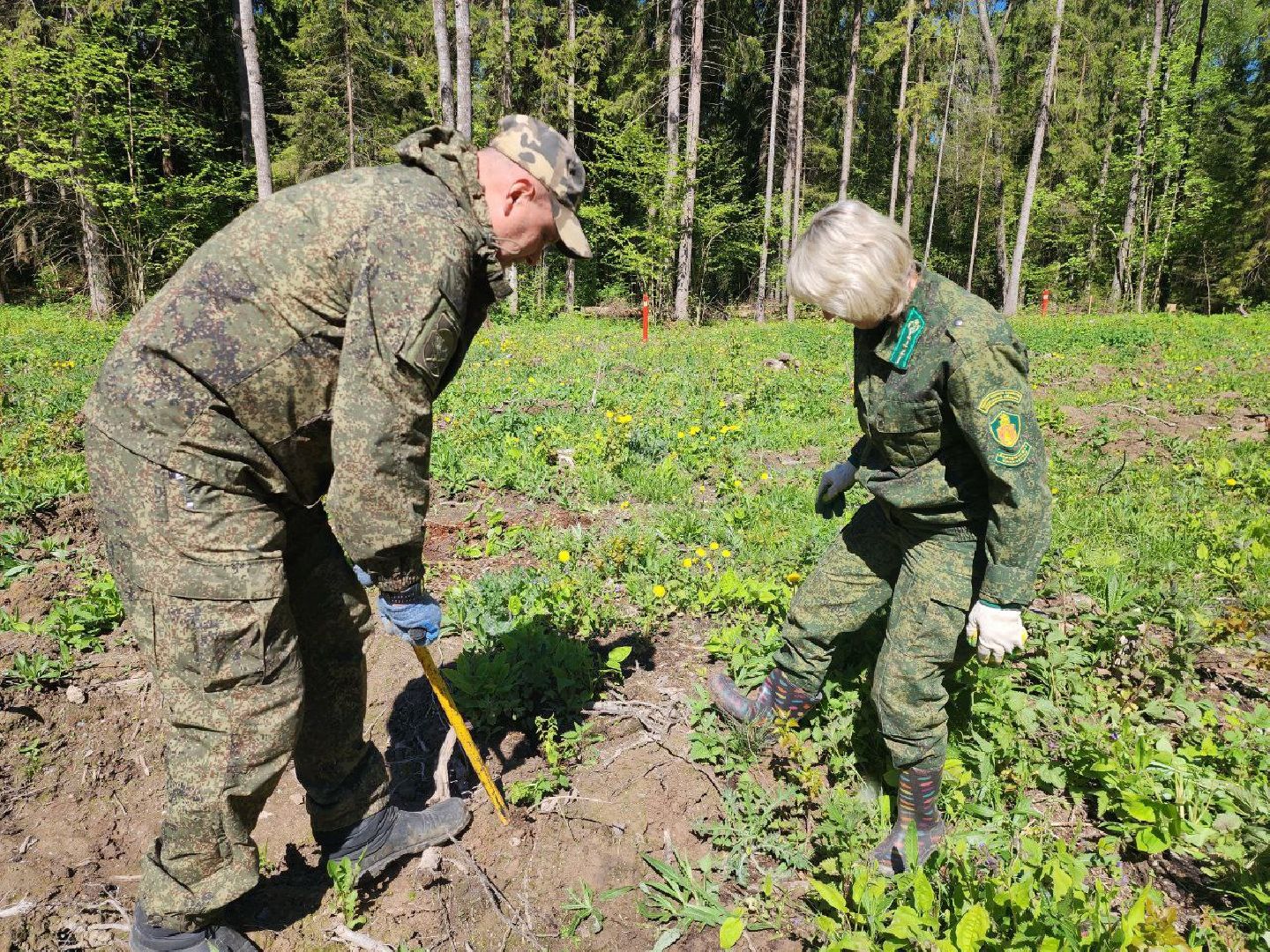 можайск, можайский городской округ, подмосковье, акция, патриотическая акция, лес будущего, сад памяти, международная акция, саженцы, посадка деревьев,