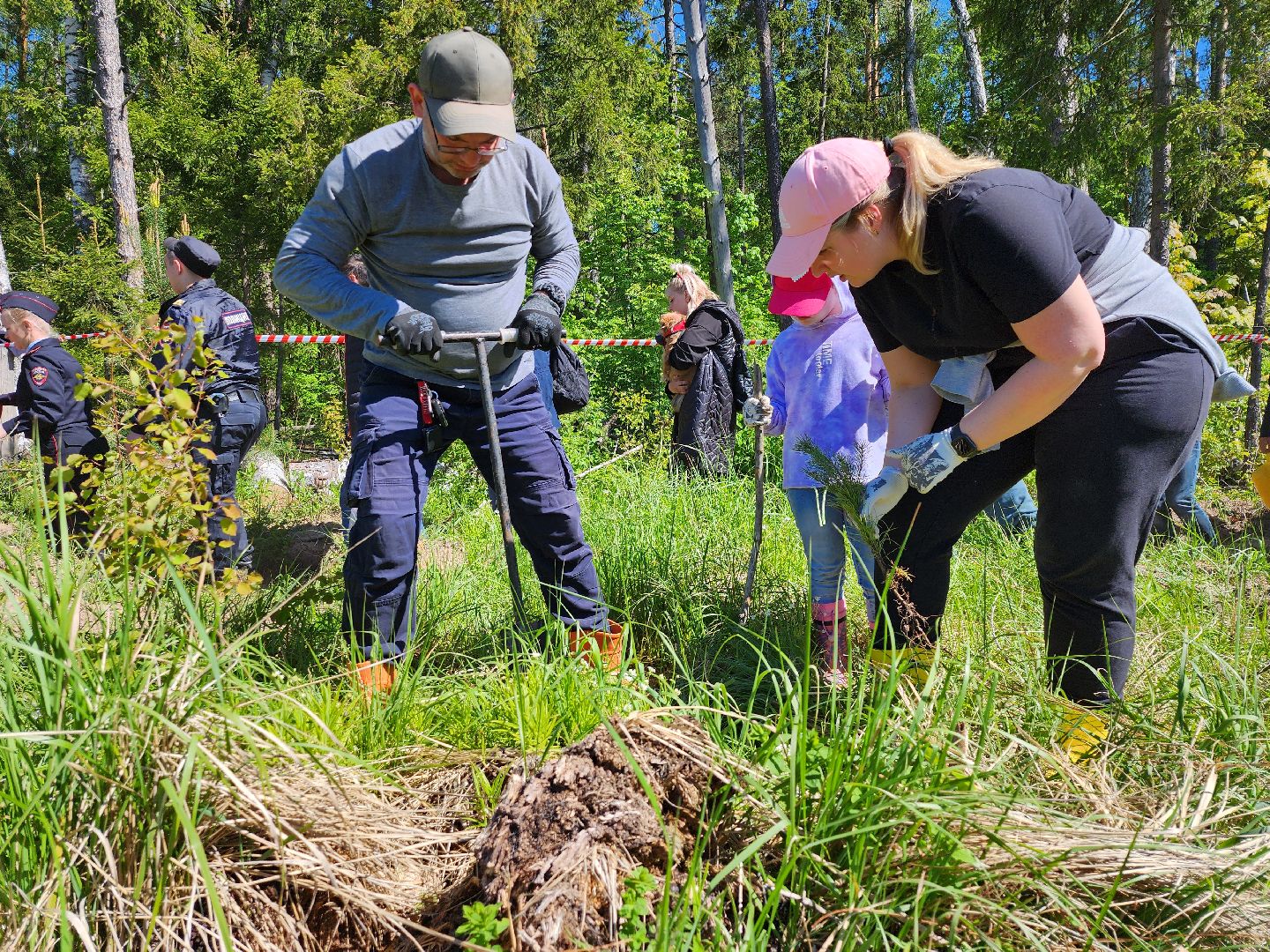 серпухов, подмосковье, сажают лес, лес будущего,