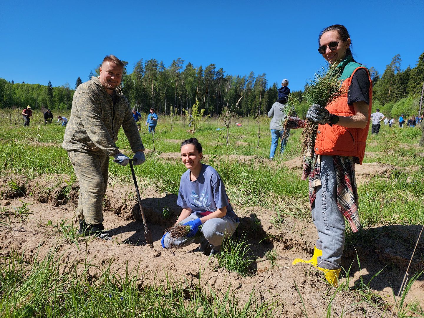 серпухов, подмосковье, сажают лес, лес будущего,