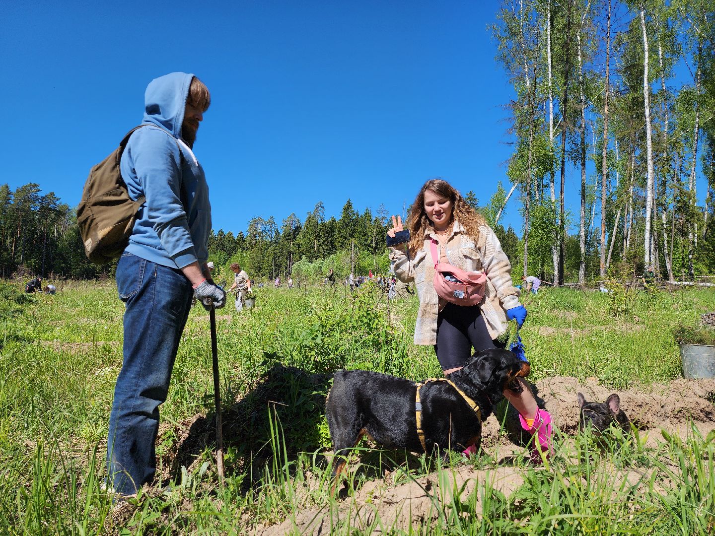 серпухов, подмосковье, сажают лес, лес будущего,