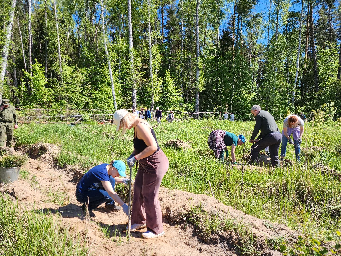 серпухов, подмосковье, сажают лес, лес будущего,