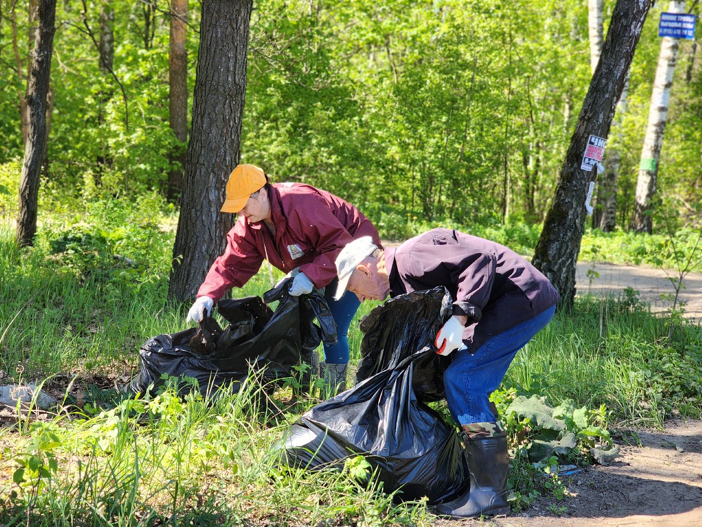 воскресенск, субботник, снт, жители,