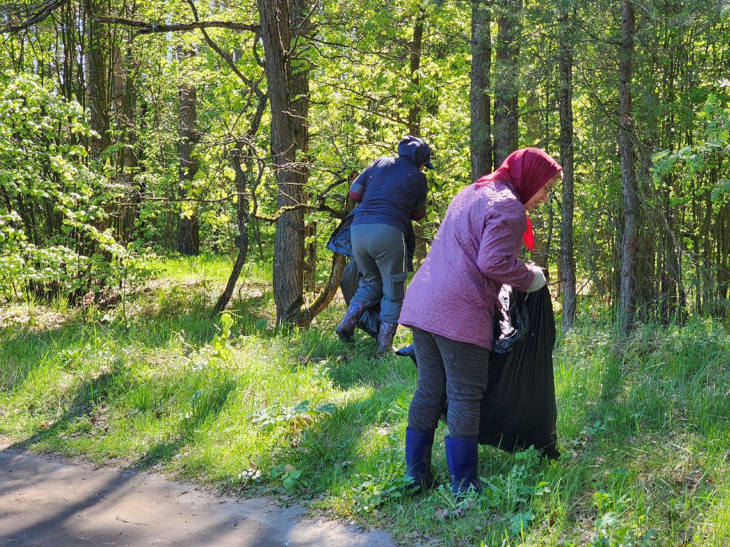 воскресенск, субботник, снт, жители,