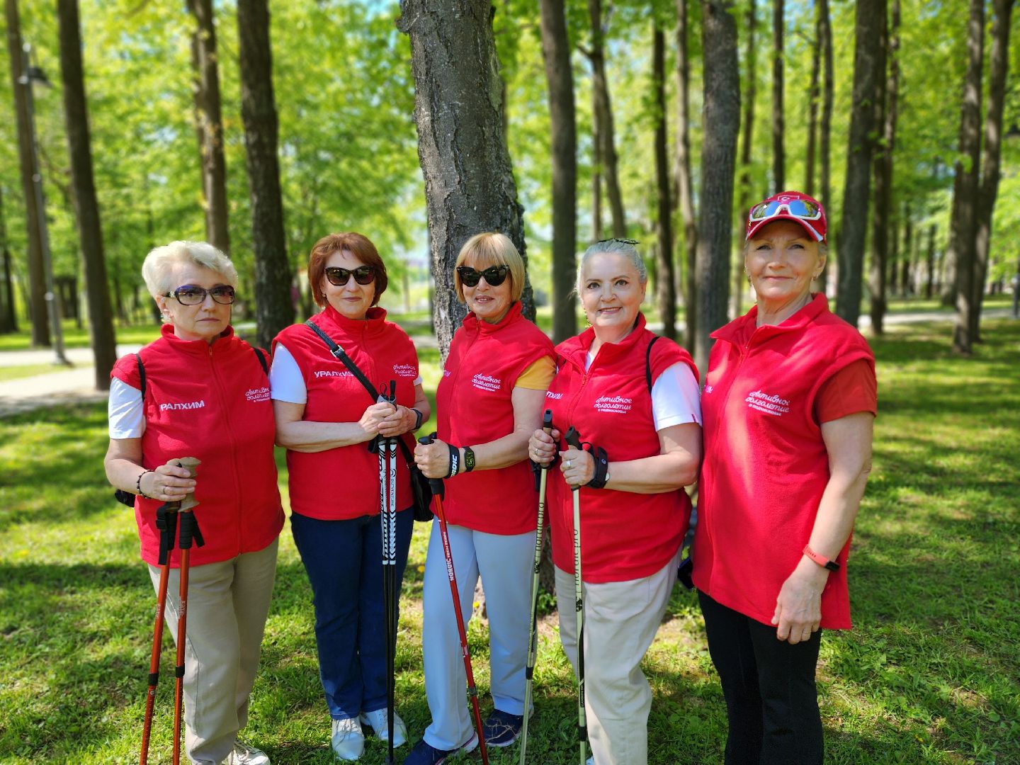 воскресенск, скандинавская ходьба, активное долголетие, парк кривякино,