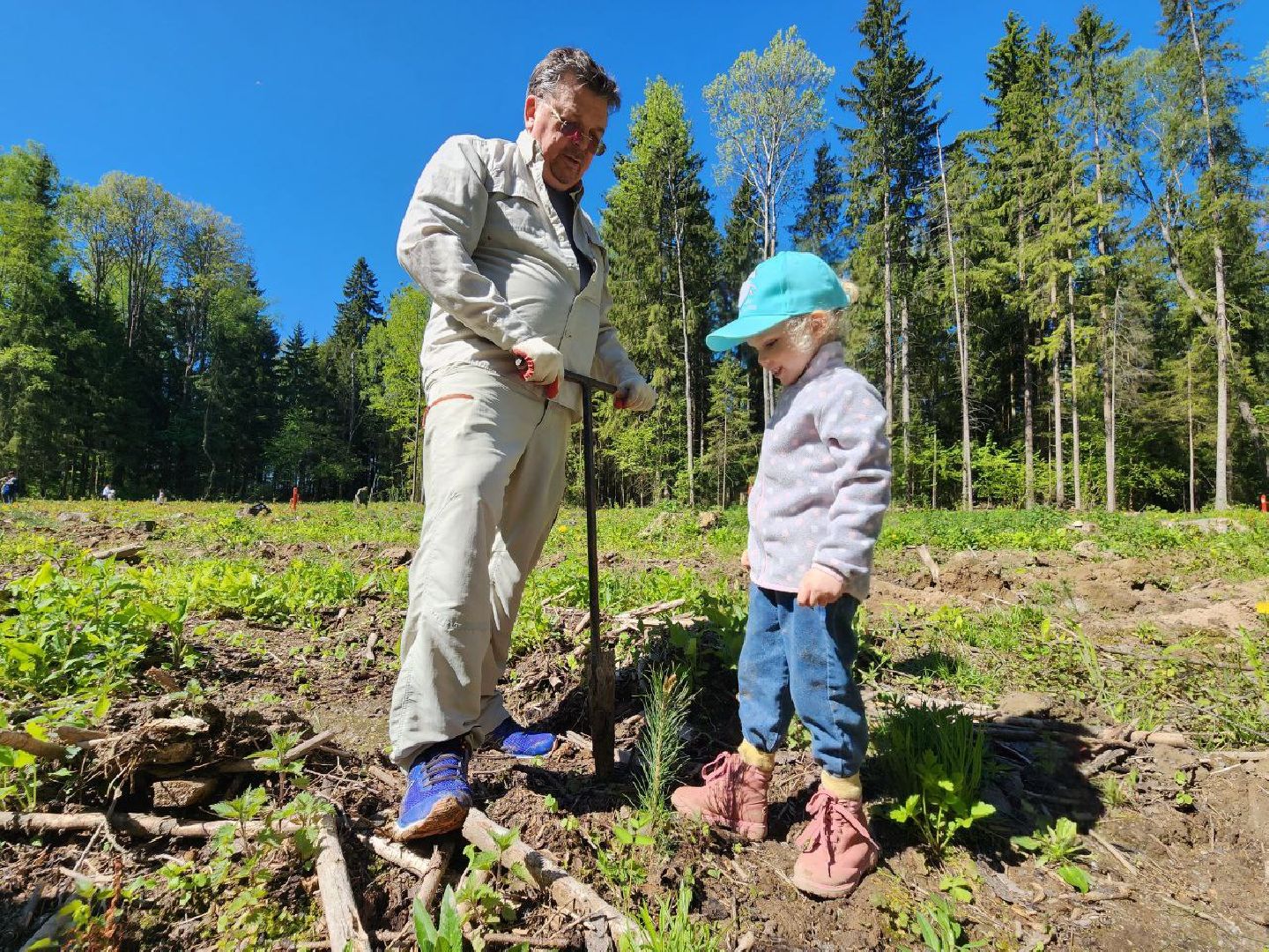 можайск, можайский городской округ, подмосковье, лес будущего, акция, международная акция, дети, деревья, саженцы, посадка,