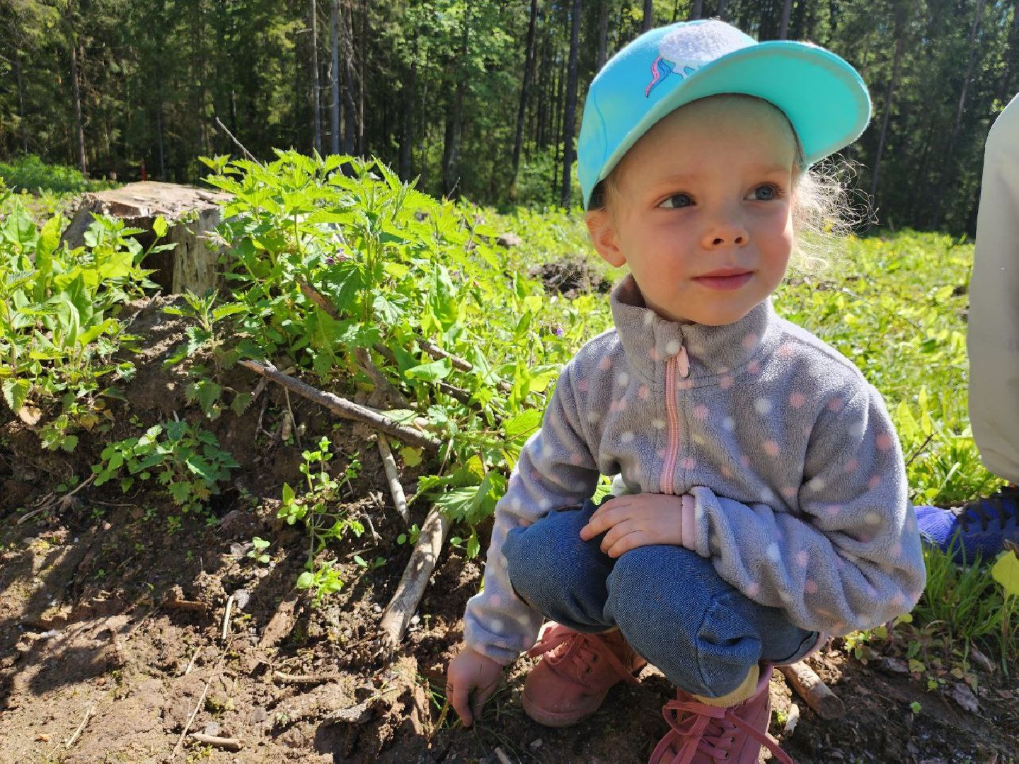 можайск, можайский городской округ, подмосковье, лес будущего, акция, международная акция, дети, деревья, саженцы, посадка,