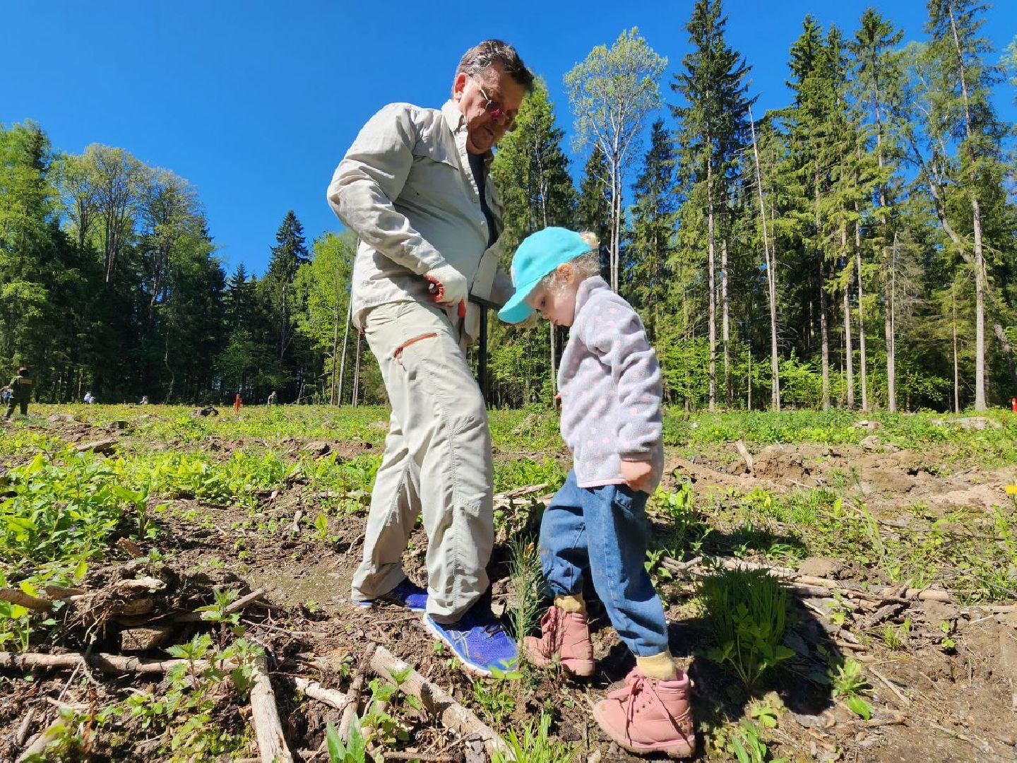 можайск, можайский городской округ, подмосковье, лес будущего, акция, международная акция, дети, деревья, саженцы, посадка,