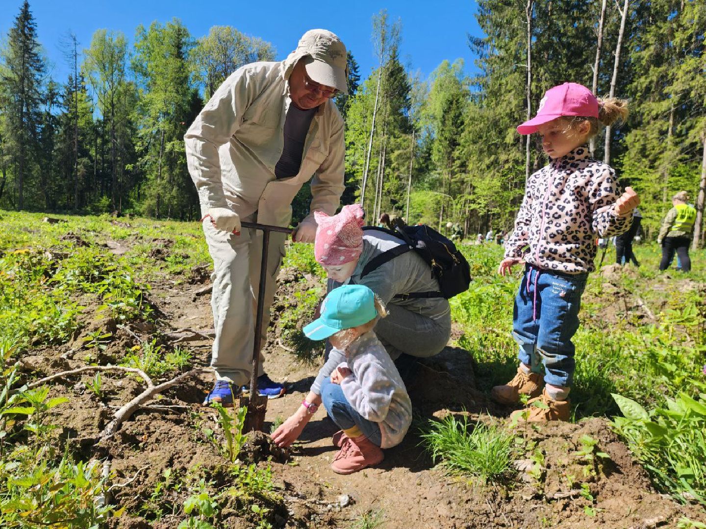 можайск, можайский городской округ, подмосковье, лес будущего, акция, международная акция, дети, деревья, саженцы, посадка,
