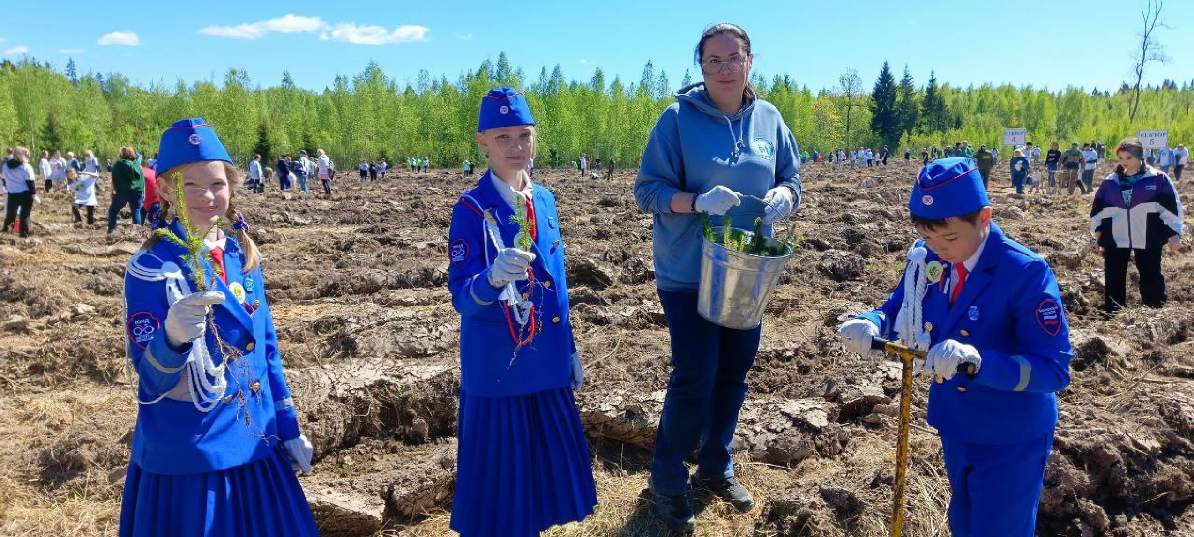 Дмитров, Лес будущего,