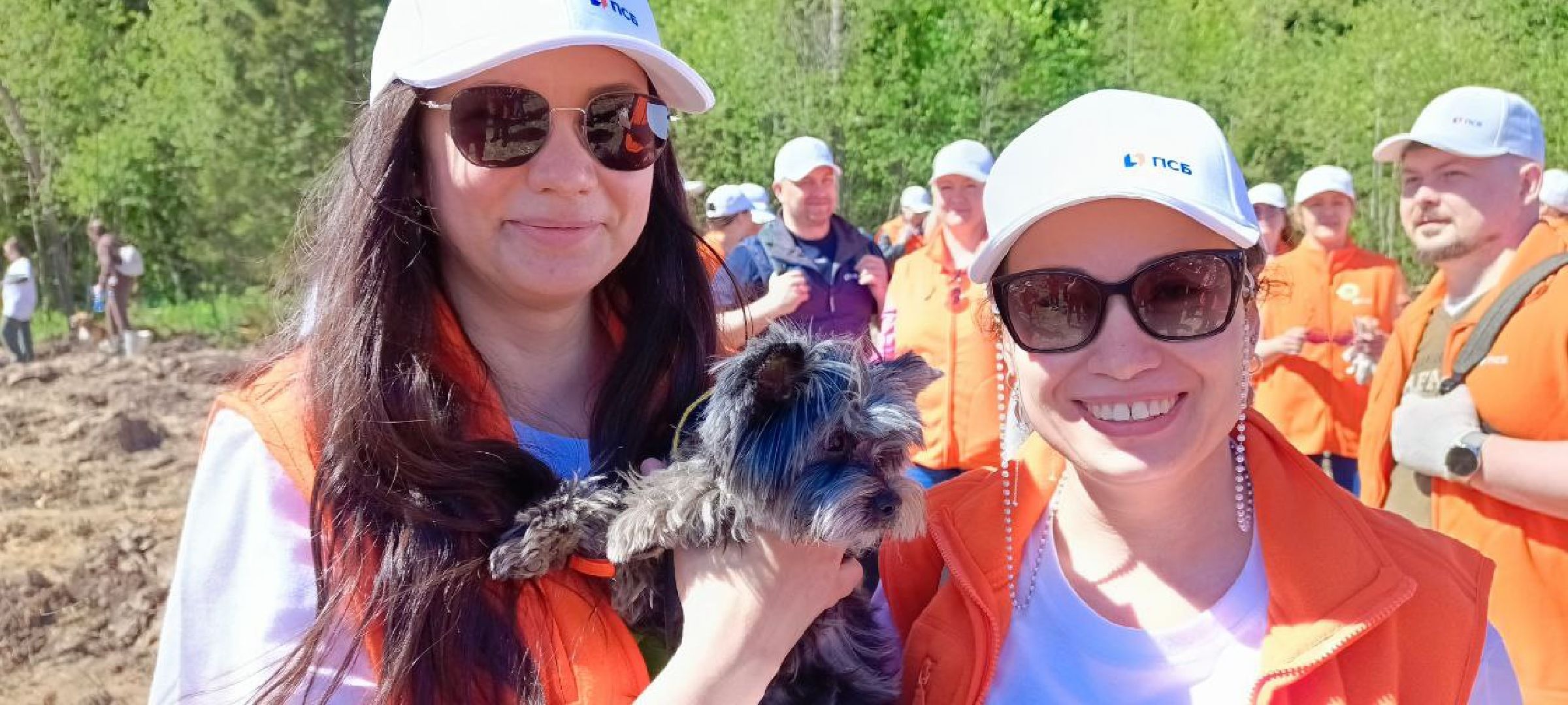 Дмитров, Лес будущего,