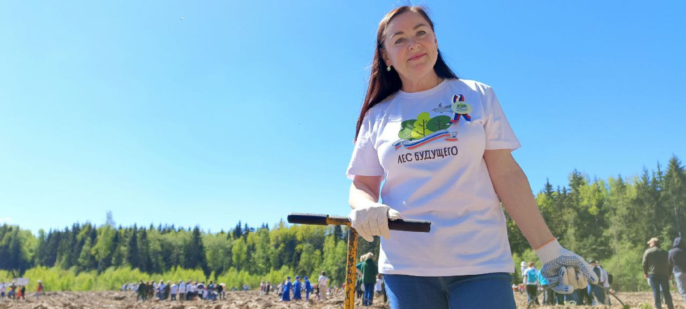 Дмитров, Лес будущего,