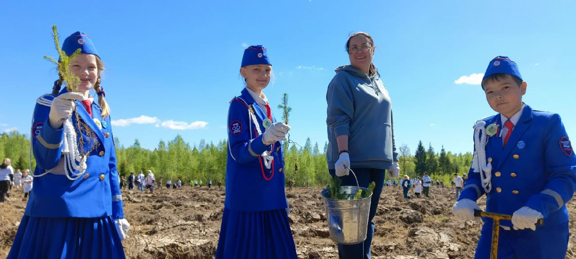 Дмитров, Лес будущего,