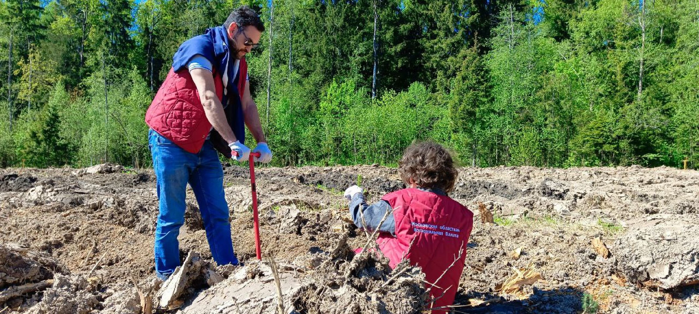 Дмитров, Лес будущего,