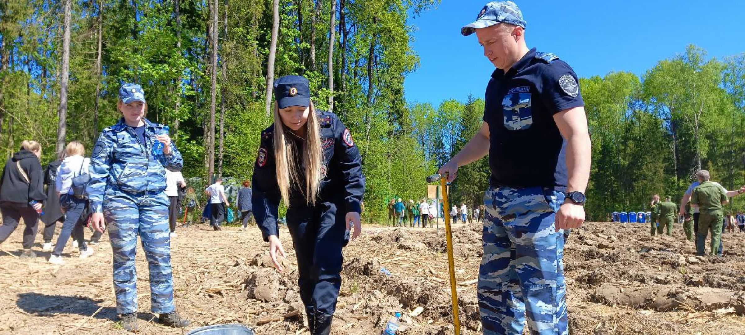 Дмитров, Лес будущего,