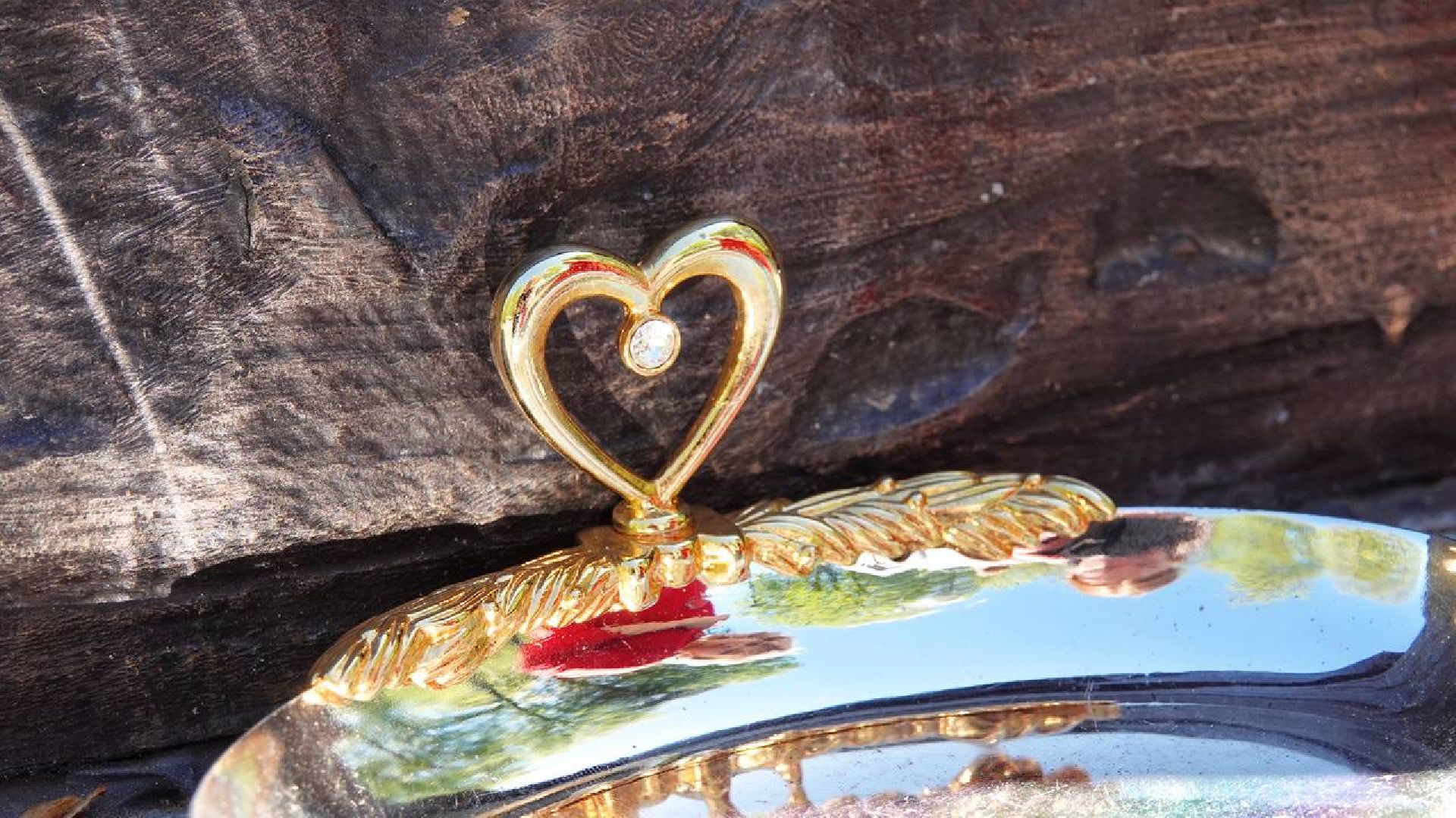 Свадьба, Свадьба в Подмосковье, Бракосочетание, Управление ЗАГС, Любовь, Семья, Год семьи, Хотьково, Парки Подмосковья, Сергиево-Посадский городской округ,