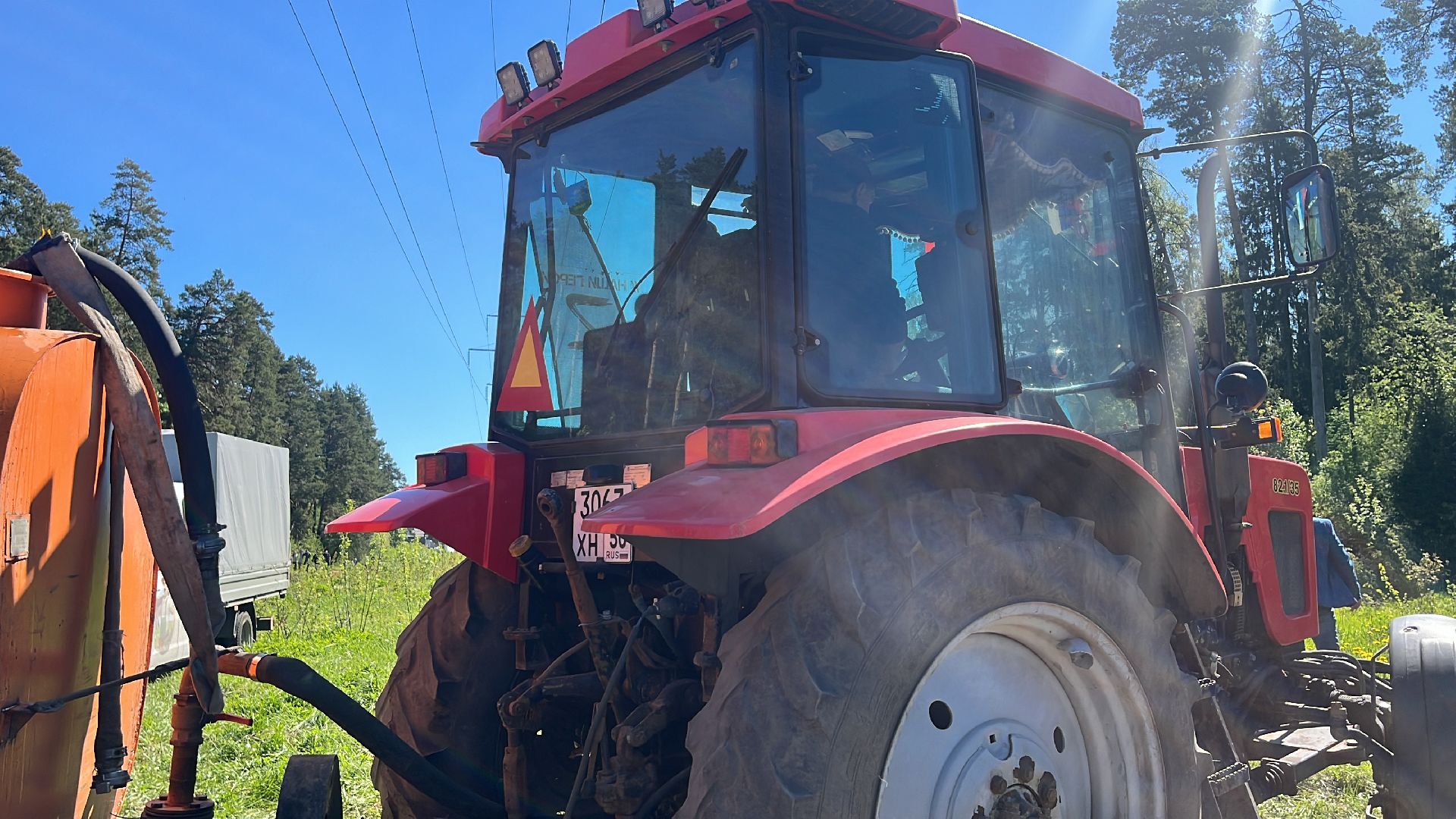 акция, экоакция, экологическая акция, лес будущего, саженцы, сосна, сосны,