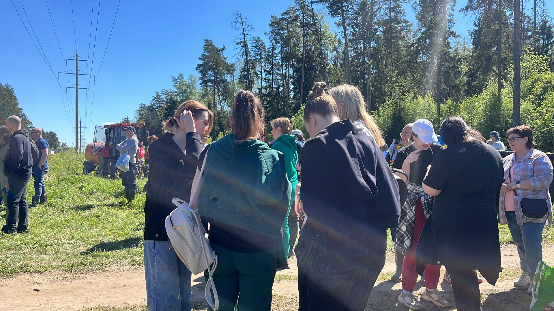 акция, экоакция, экологическая акция, лес будущего, саженцы, сосна, сосны,