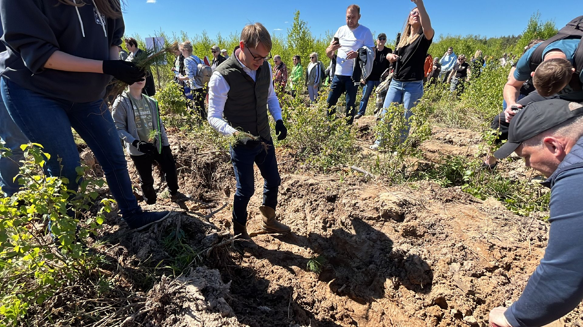 акция, экоакция, экологическая акция, лес будущего, саженцы, сосна, сосны,