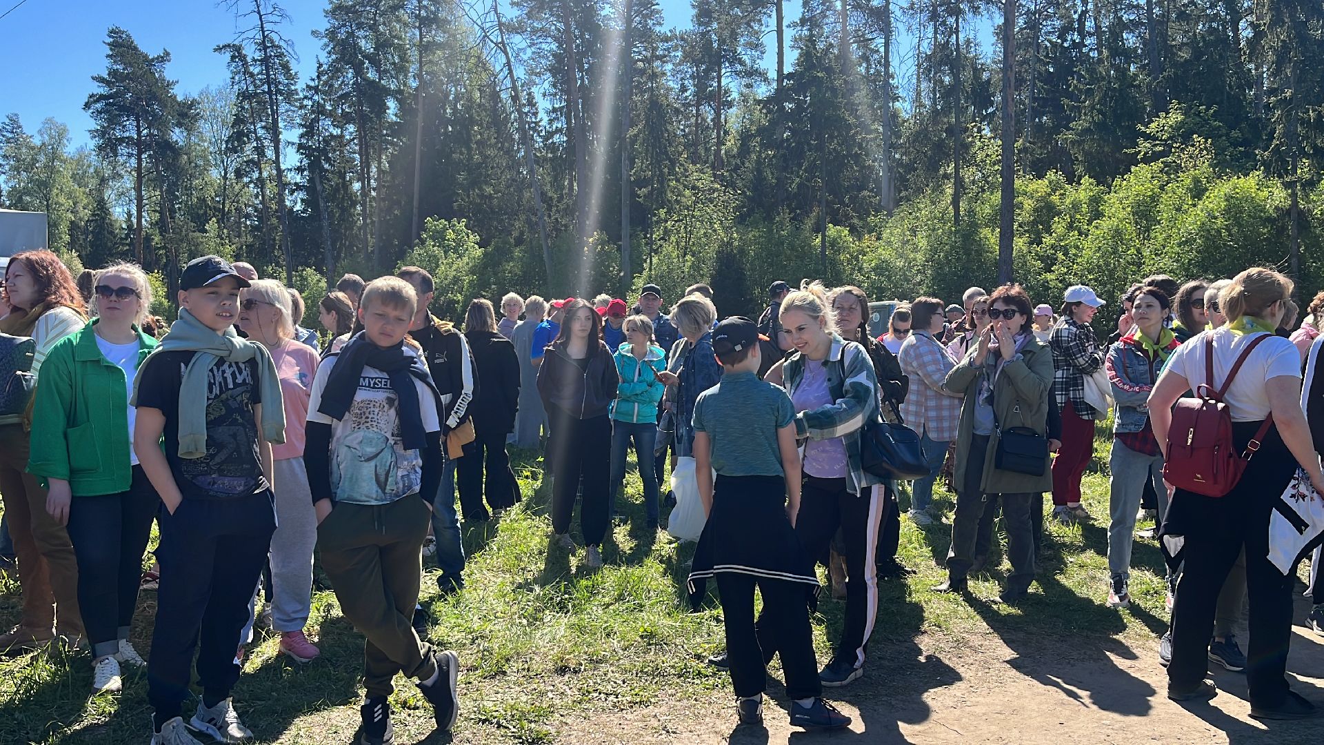 акция, экоакция, экологическая акция, лес будущего, саженцы, сосна, сосны,