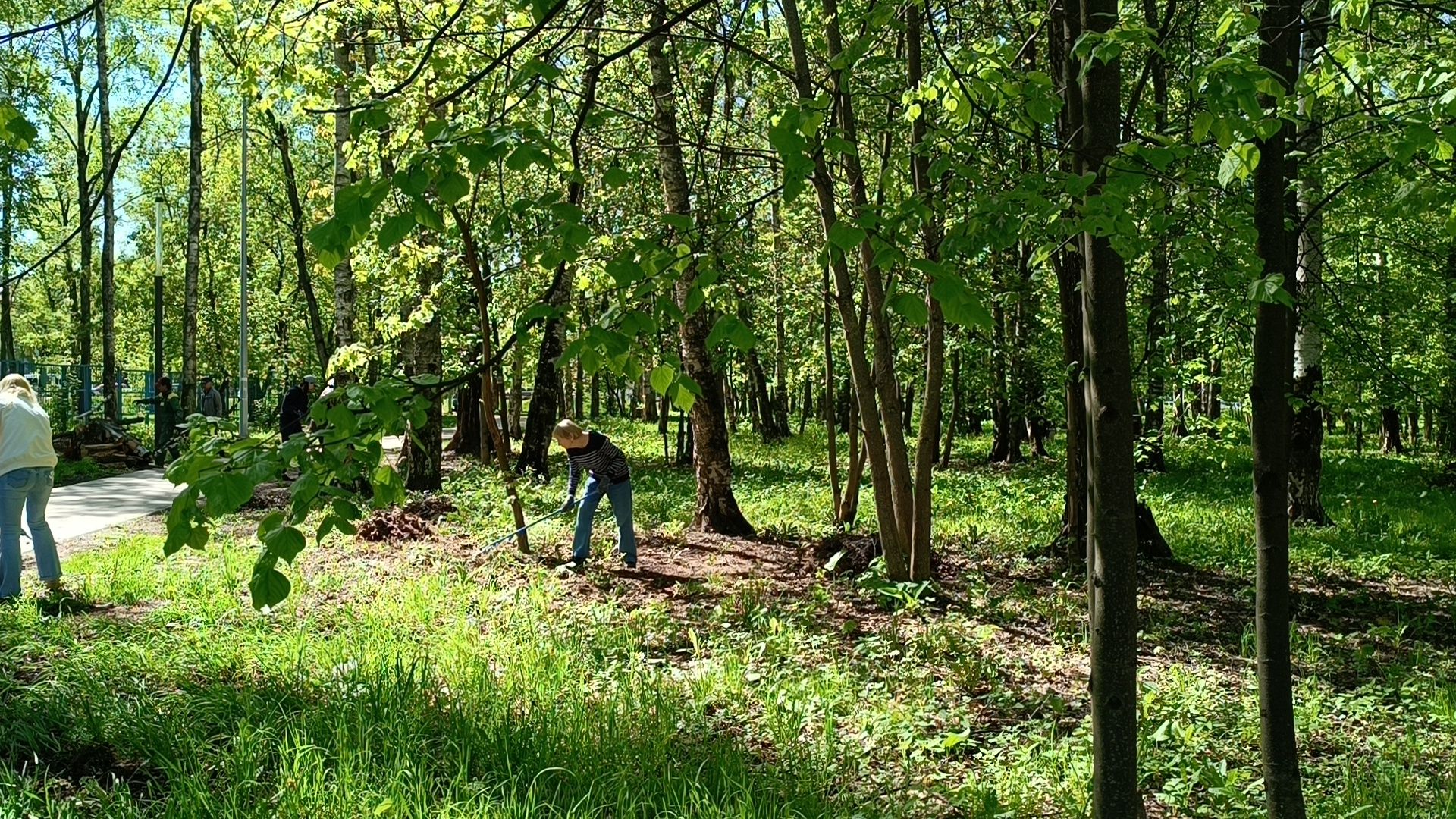 субботник, экология, лобня,