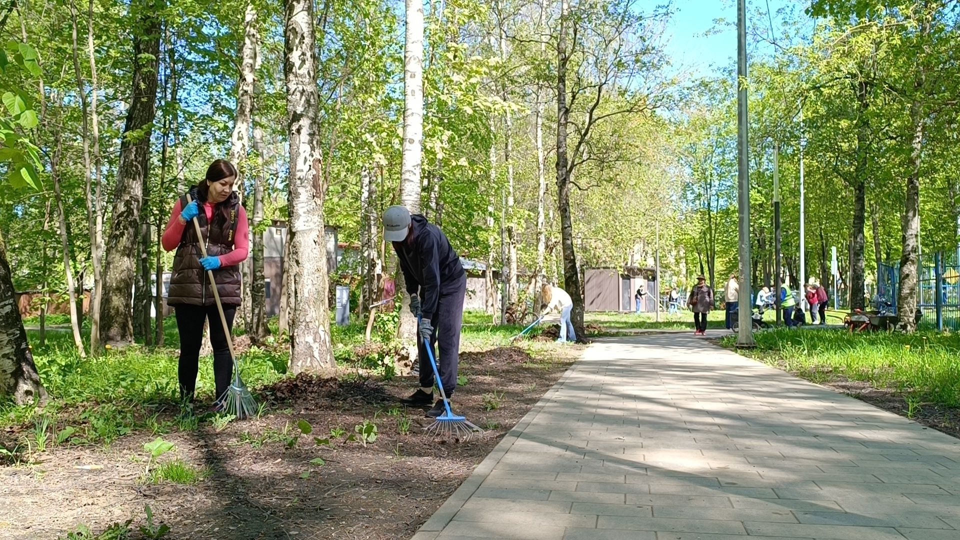 субботник, экология, лобня,