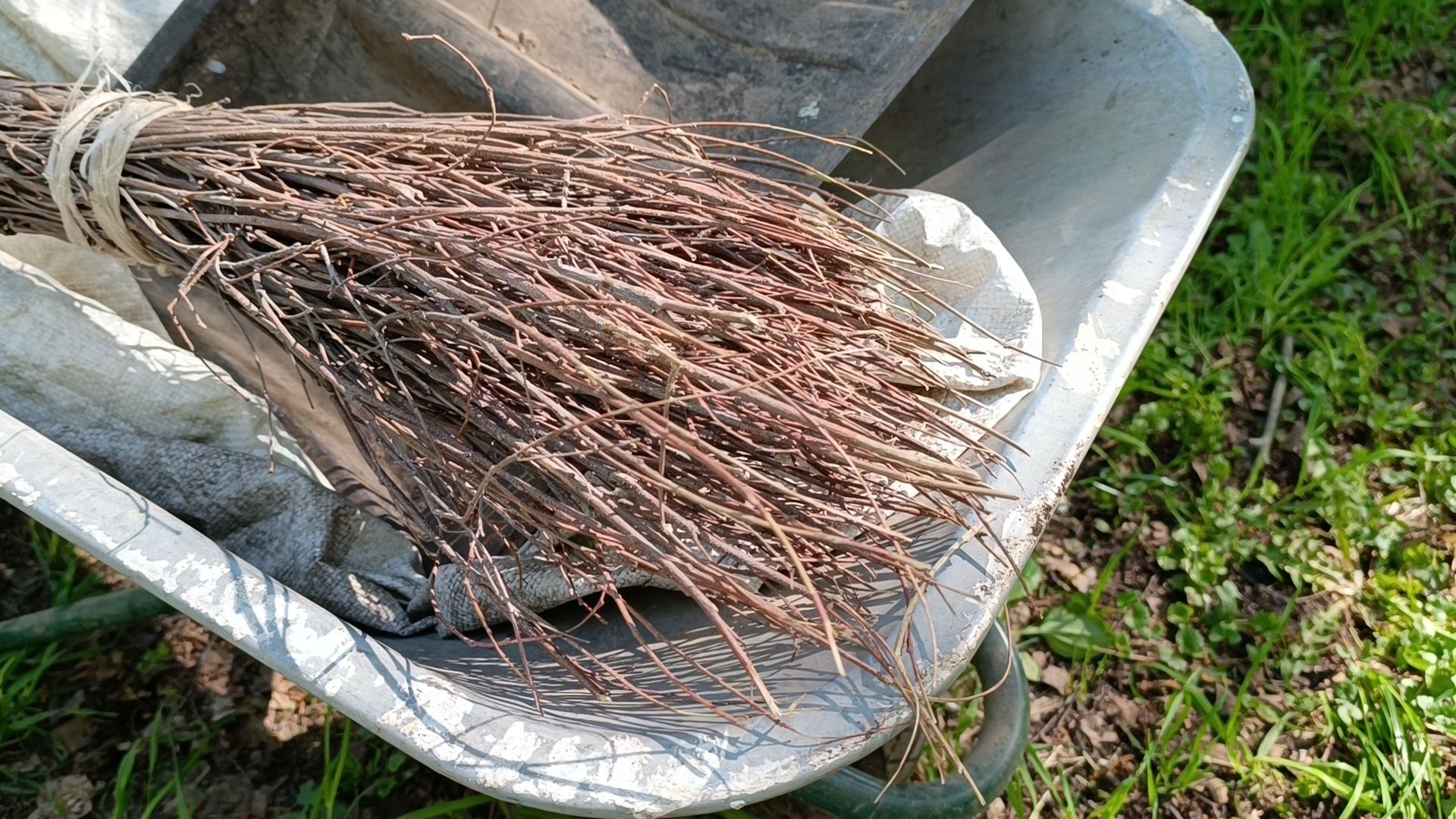 субботник, экология, лобня,