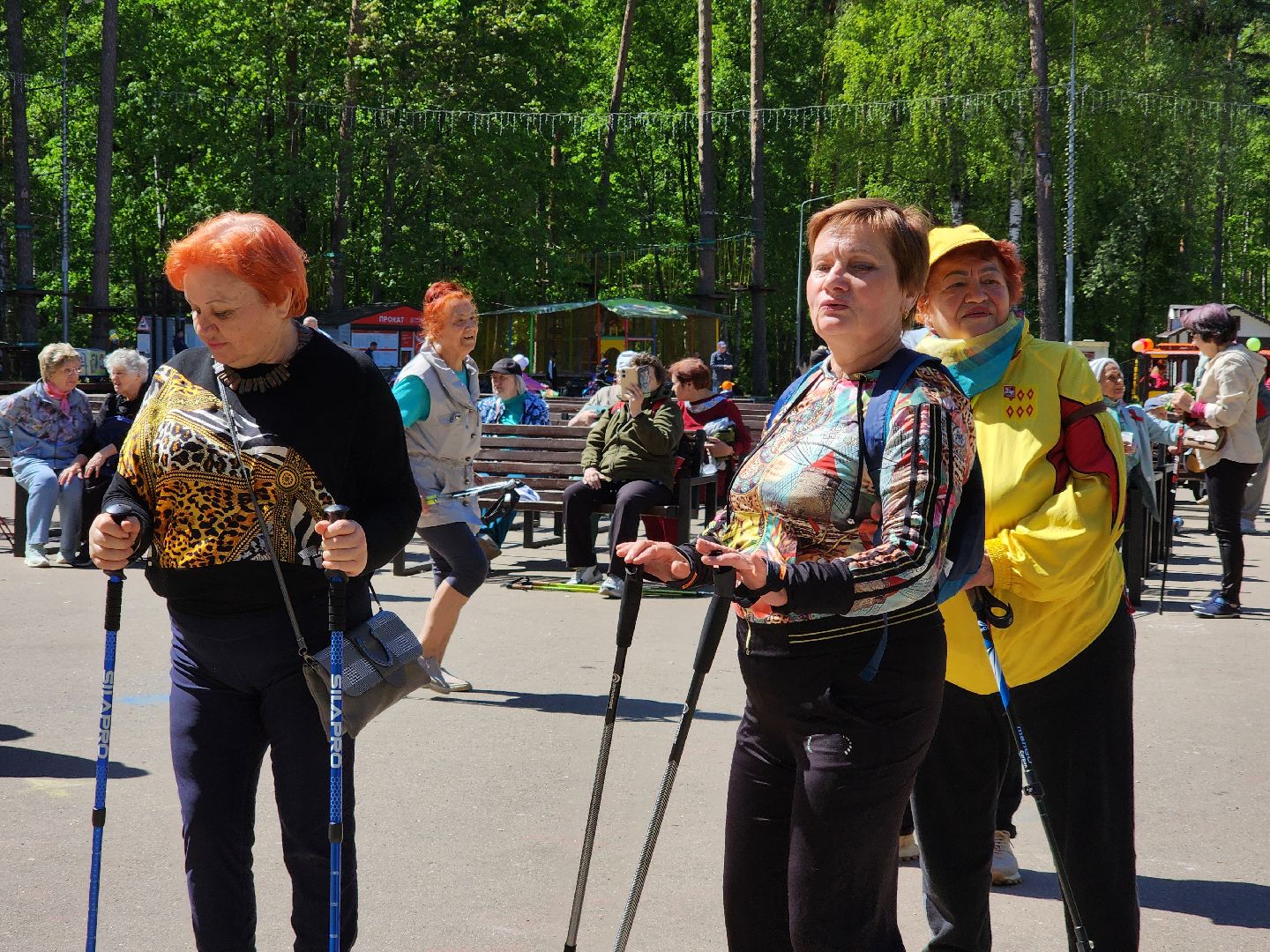 Ногинск, Авктивное долголетие, Общество, Жители, Марафон, скандинавская ходьба, марафон по скандинавской ходьбе,