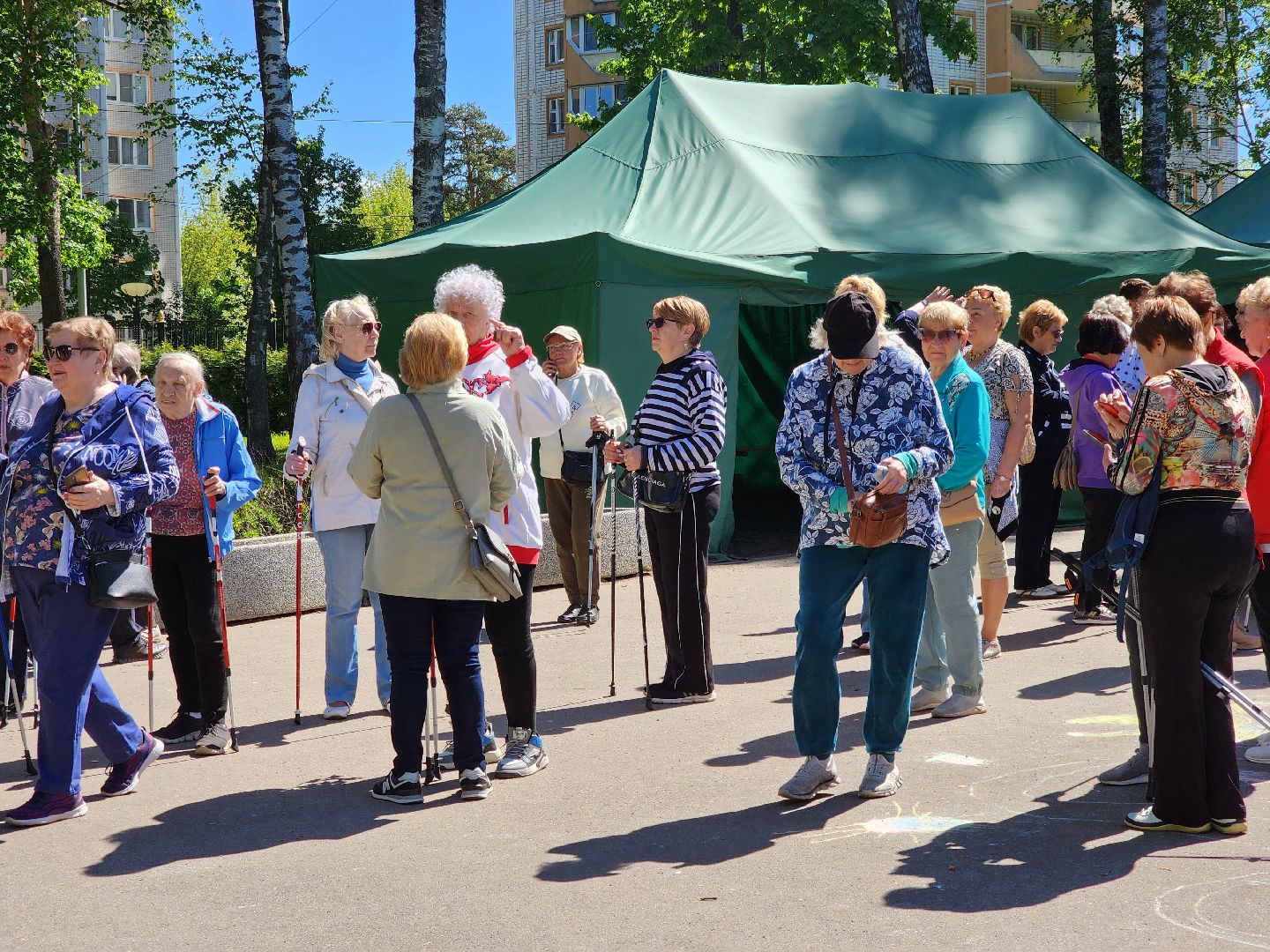Ногинск, Авктивное долголетие, Общество, Жители, Марафон, скандинавская ходьба, марафон по скандинавской ходьбе,