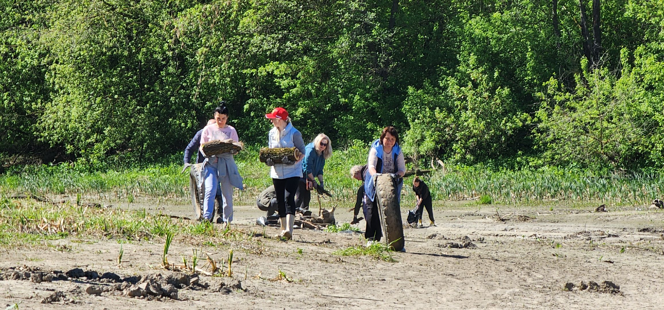Коломна, субботник,