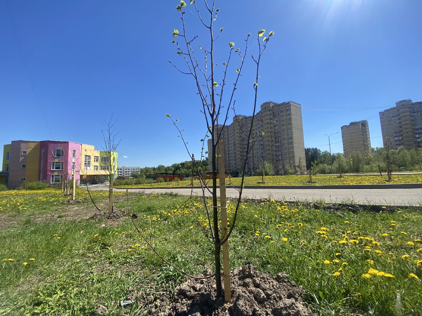 клуб счастливых семей, Аллея счастливых семей, счастливая семья, власиха город счастливых семей, вместе навсегда, любовь навсегда,