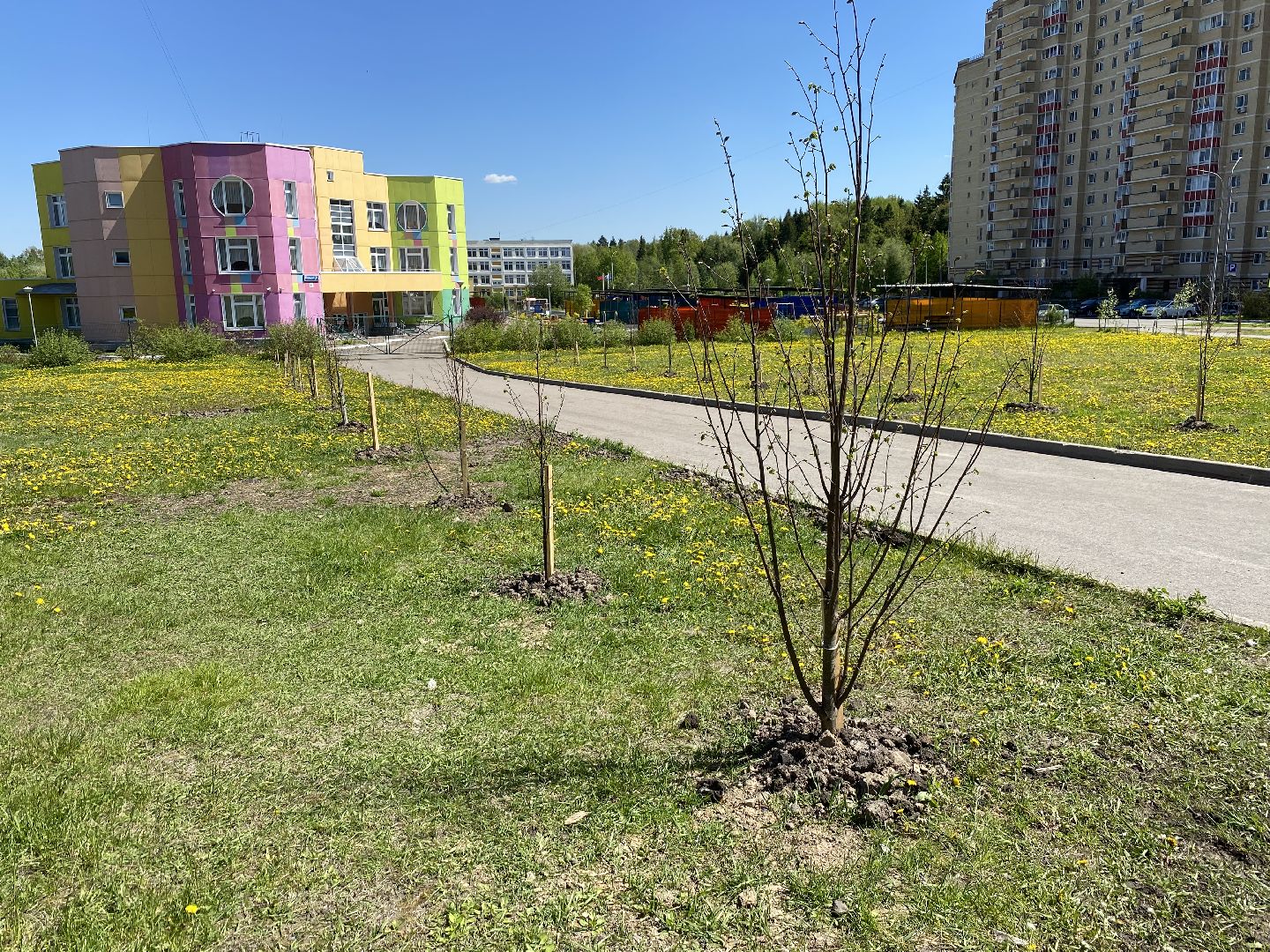 клуб счастливых семей, Аллея счастливых семей, счастливая семья, власиха город счастливых семей, вместе навсегда, любовь навсегда,