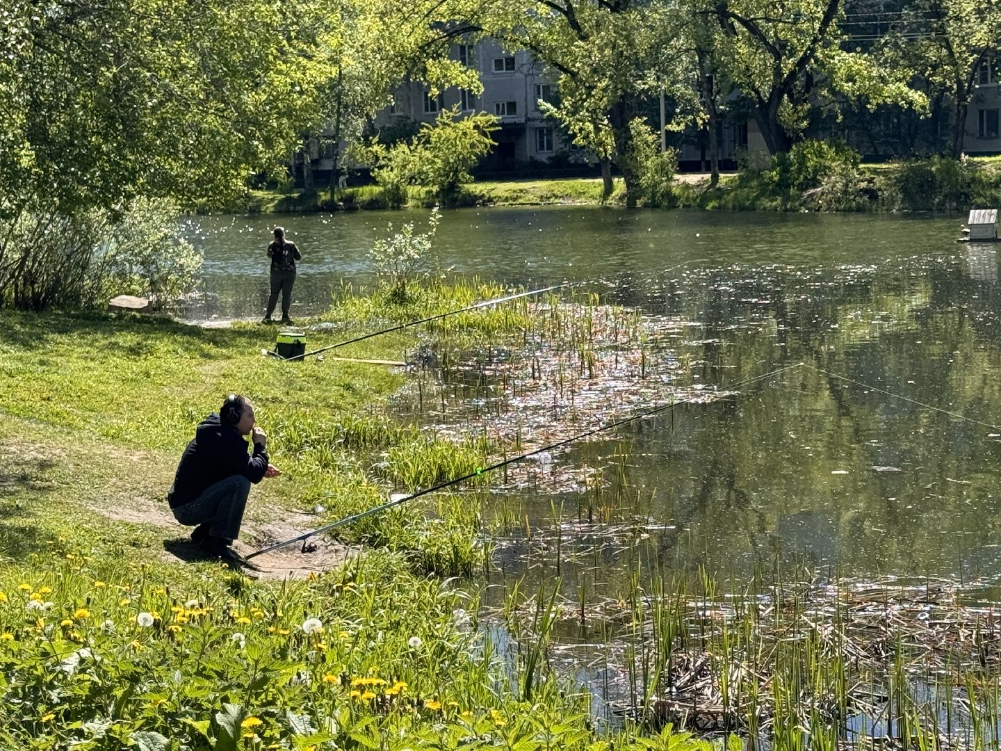 Одинцово, Аллея лип, день победы,