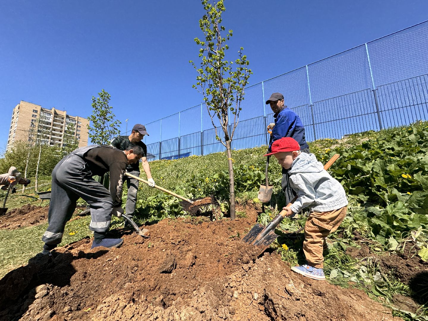 Одинцово, Аллея лип, день победы,