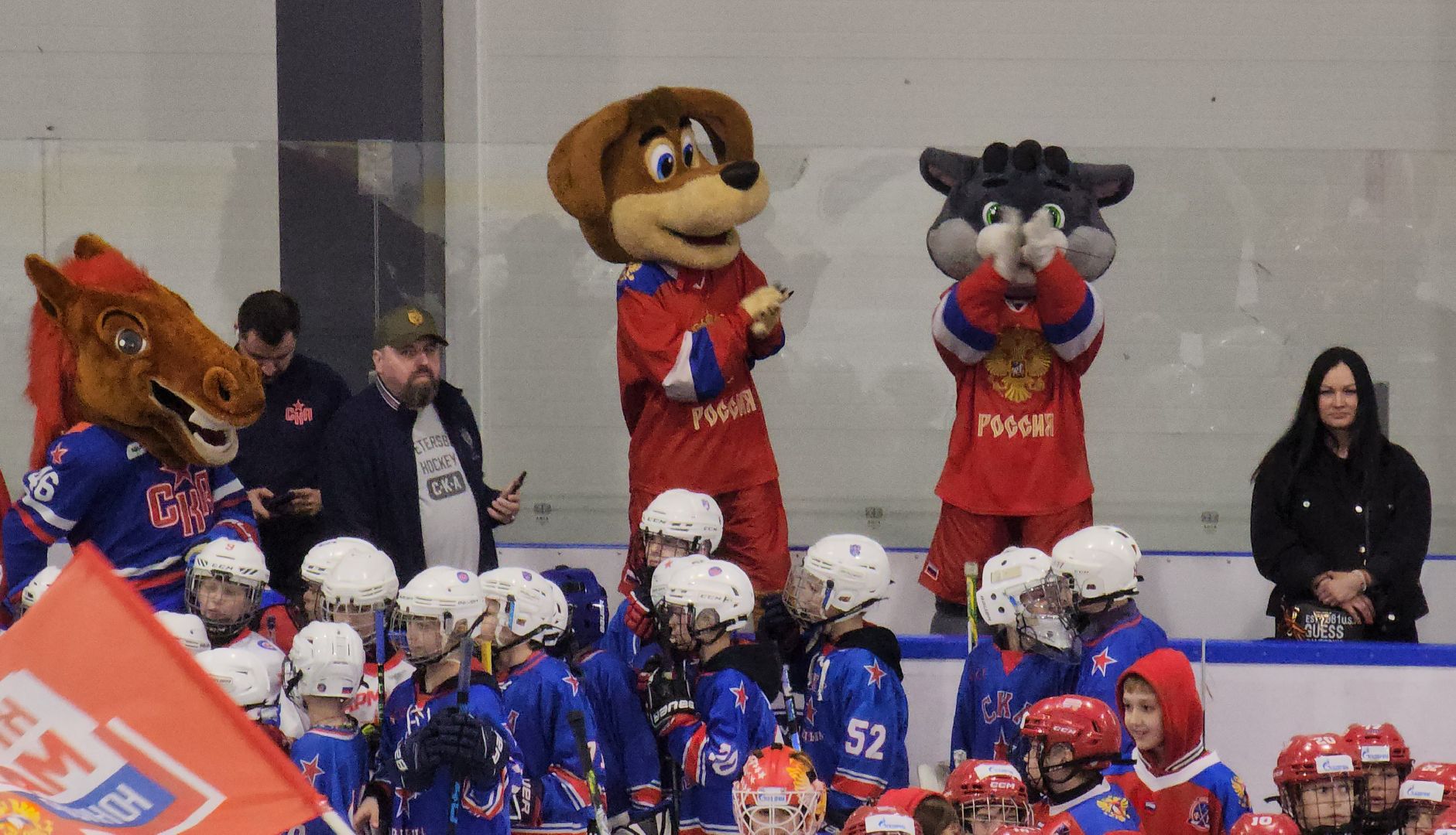 красногорск, хоккей, хоккейный город, ротенберг, кубок юнисон,воробьёв,дегтярев,