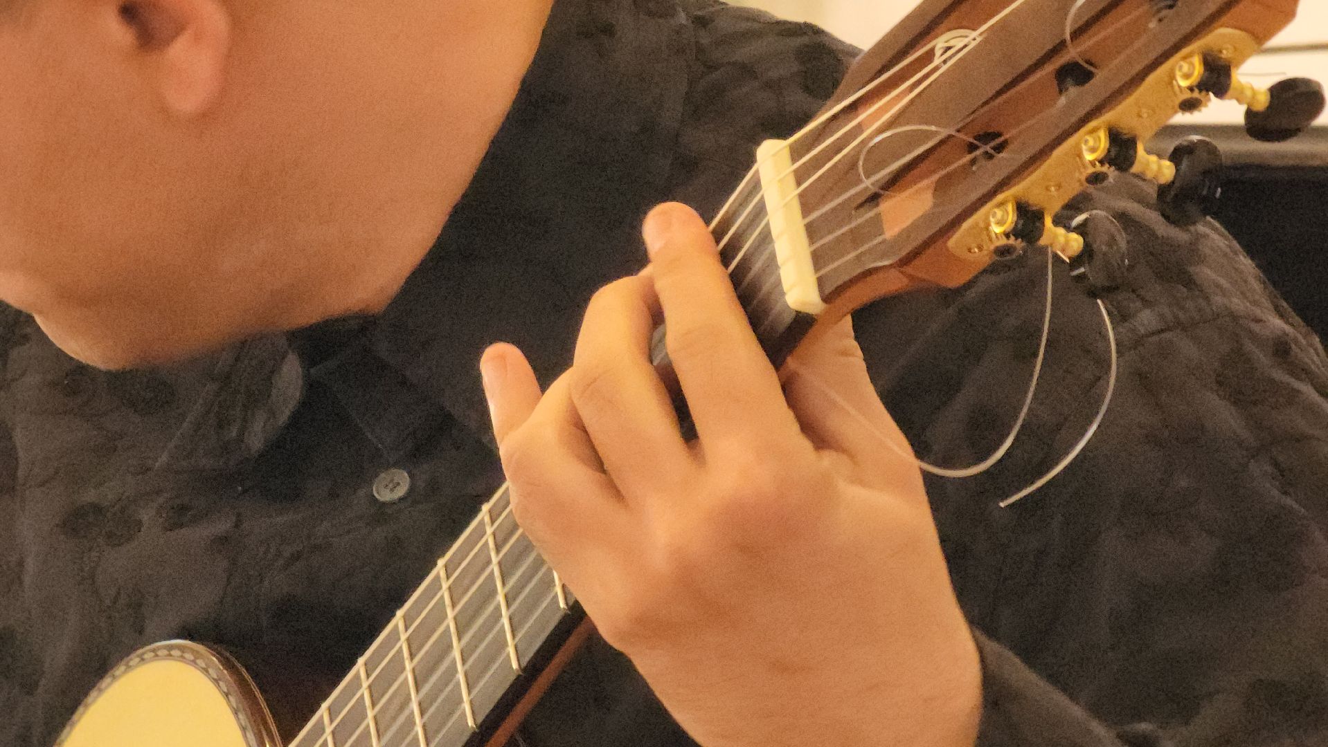 кашира, краеведческий музей, ночь в музее, классическая гитара, концерт, владислав домогацкий,