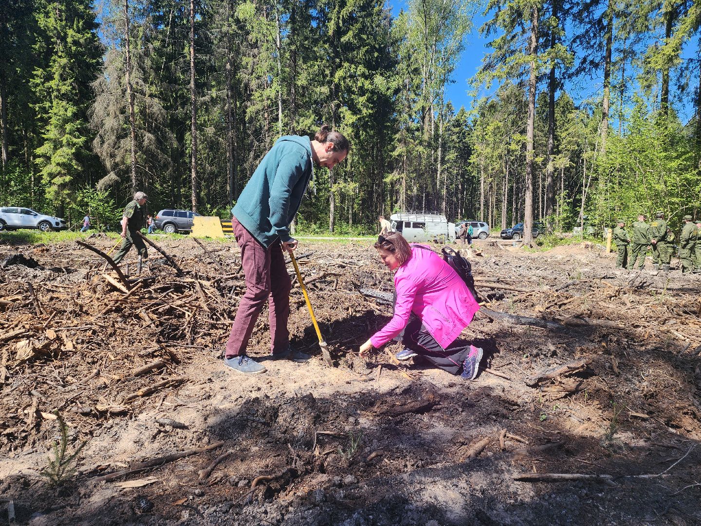 экологическая акция, высадка деревьев,