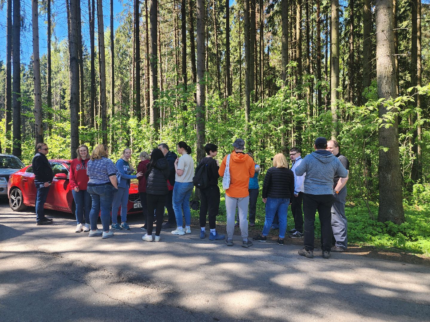 экологическая акция, высадка деревьев,