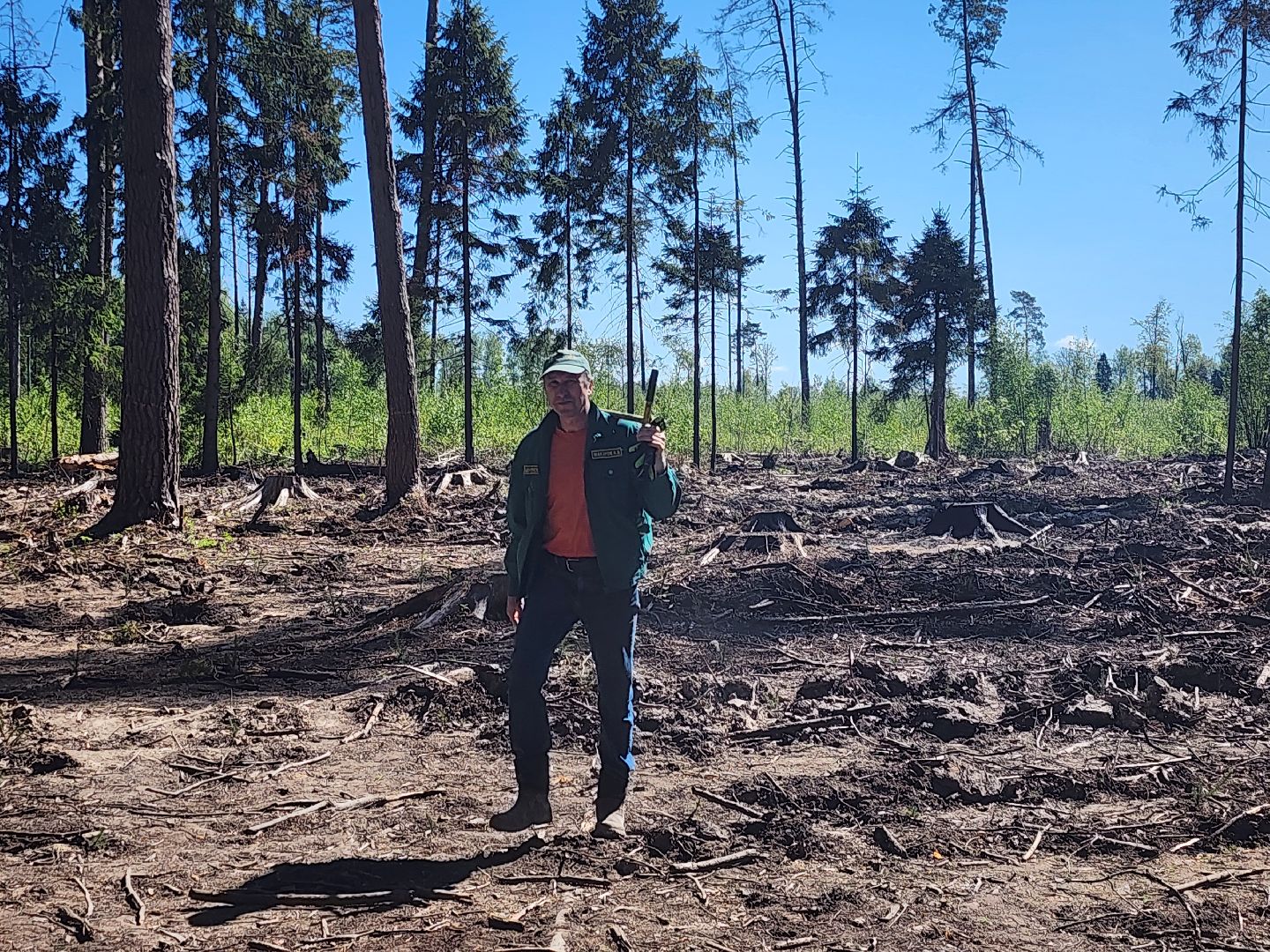 экологическая акция, высадка деревьев,