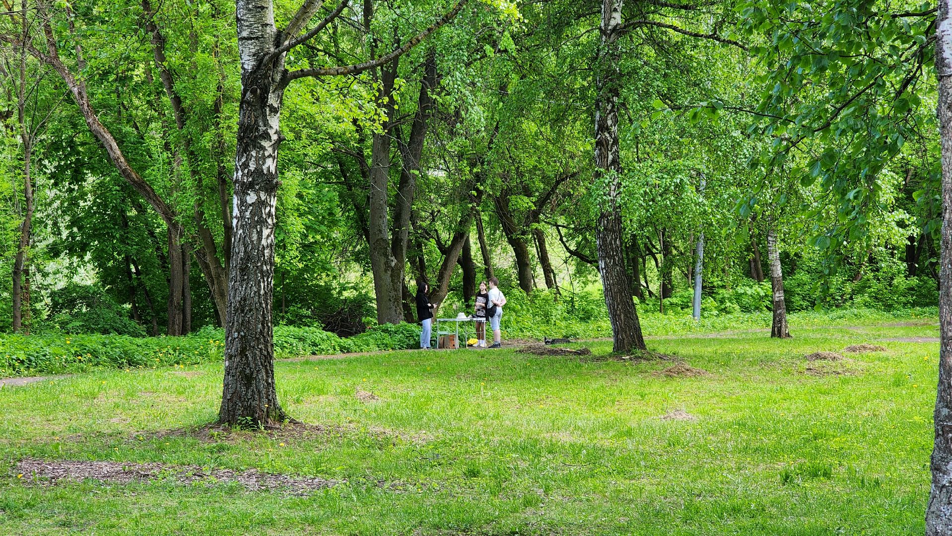 Подольск, музей, ночь музеев, квест, экология,