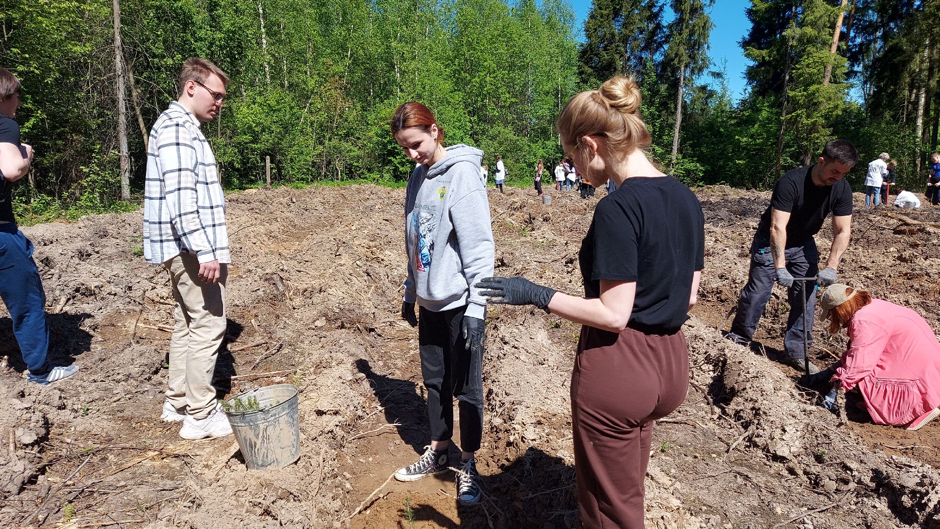 лес будущего, акции, экологическая акция,