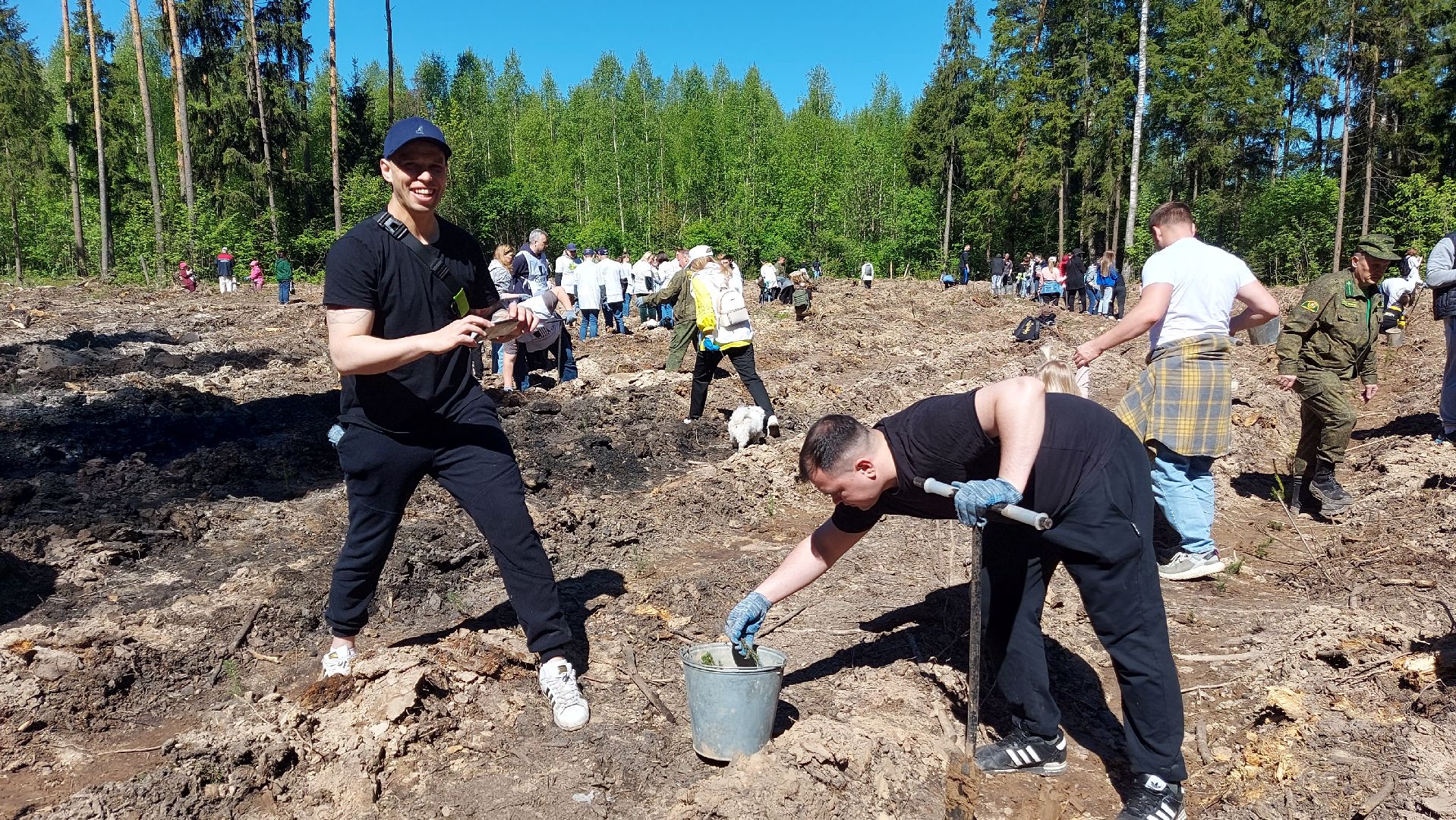 лес будущего, акции, экологическая акция,
