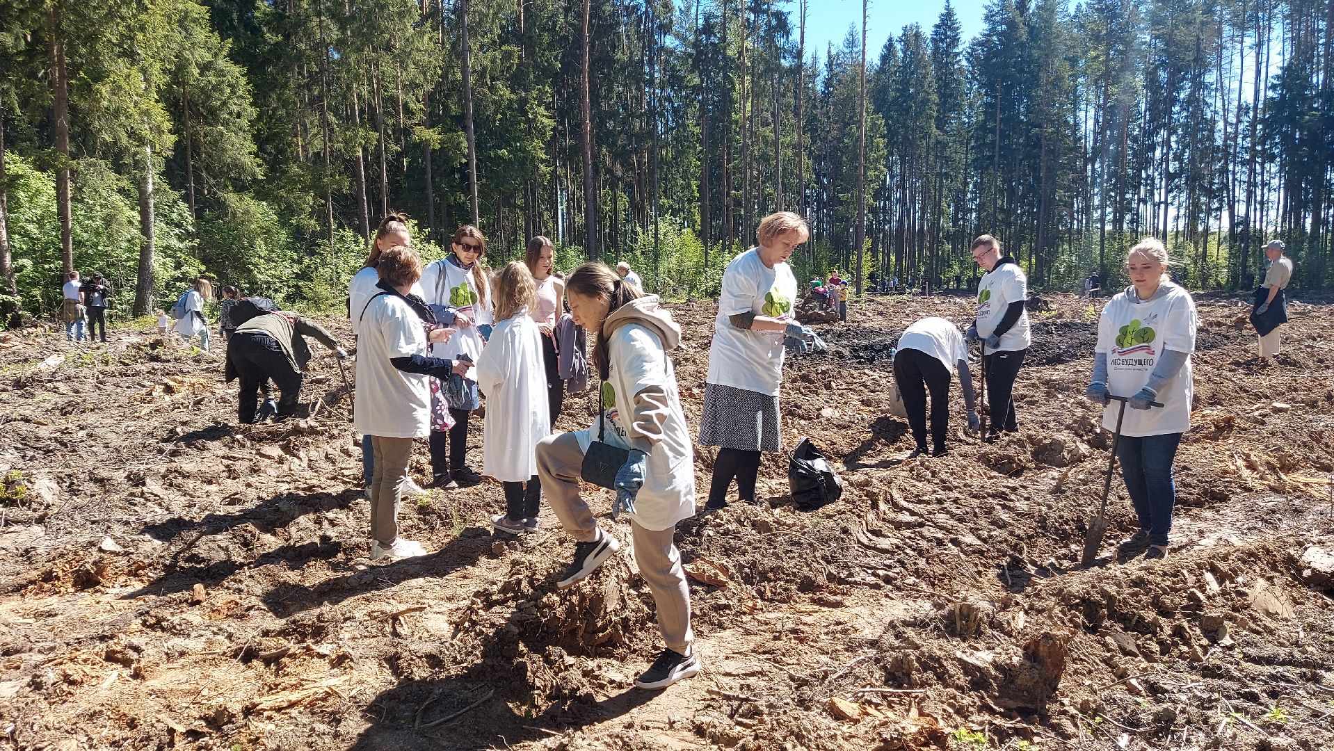 лес будущего, акции, экологическая акция,