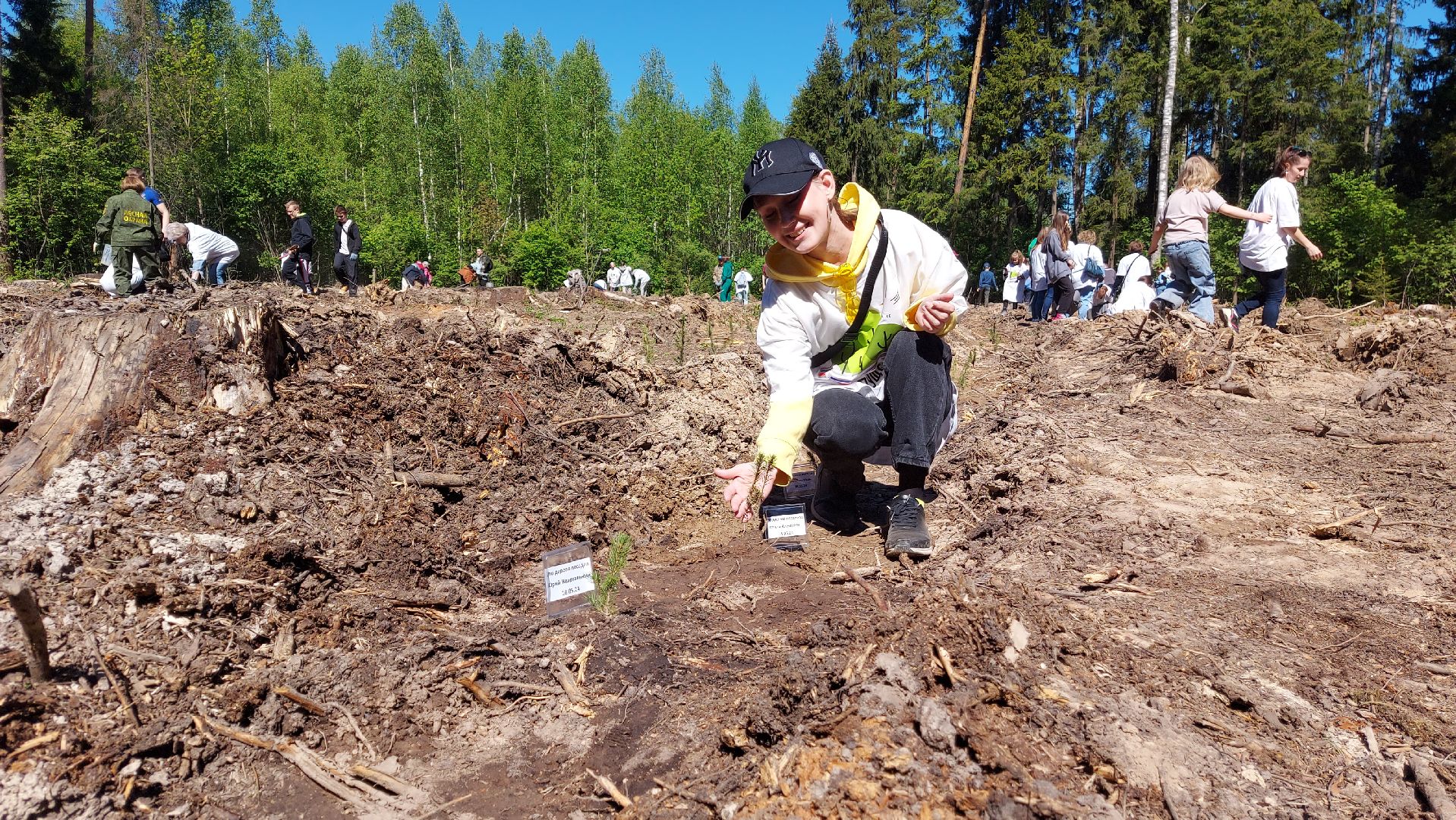 лес будущего, акции, экологическая акция,